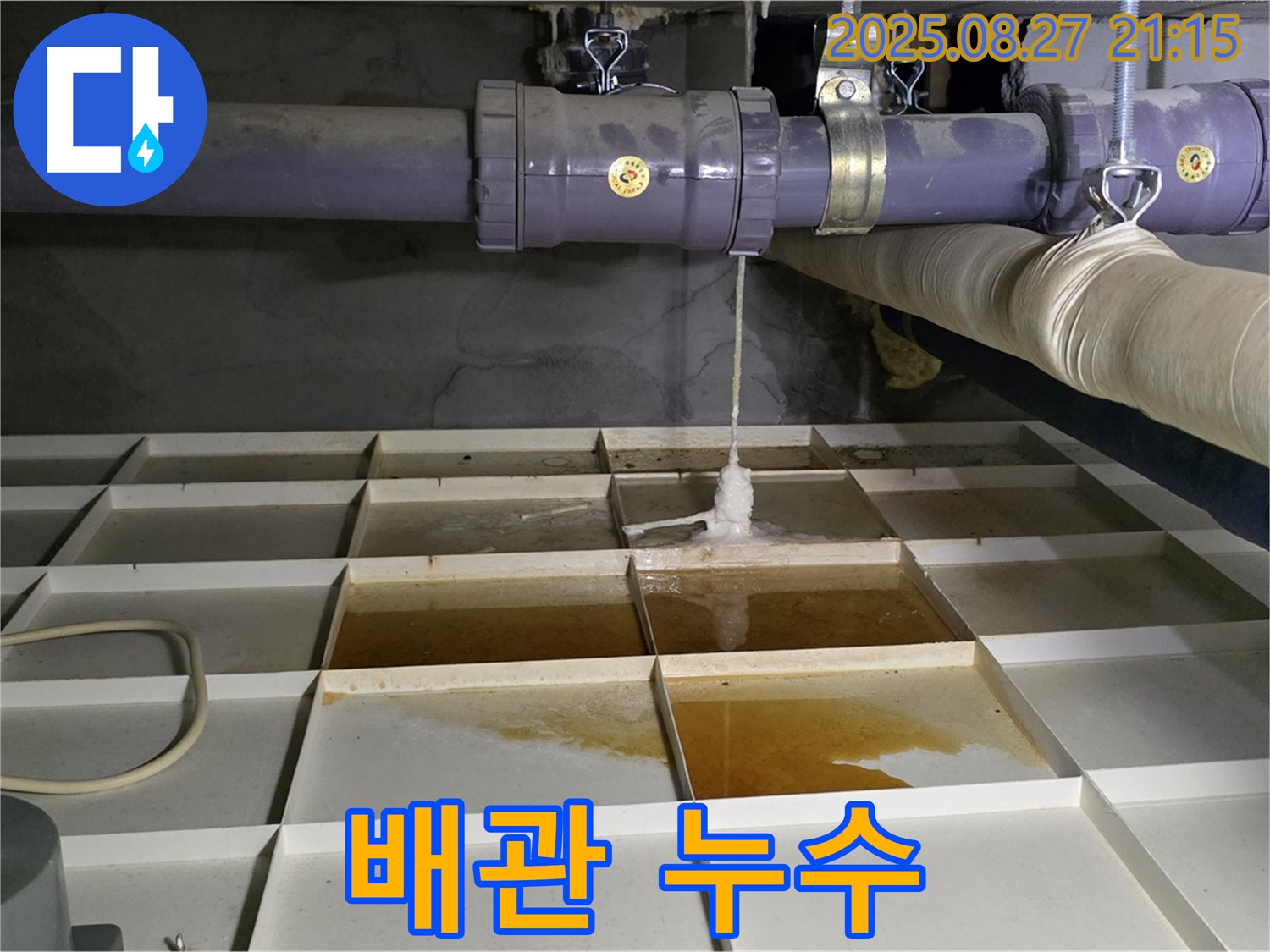 배관 누수 - 완벽한 장비와 기술력!