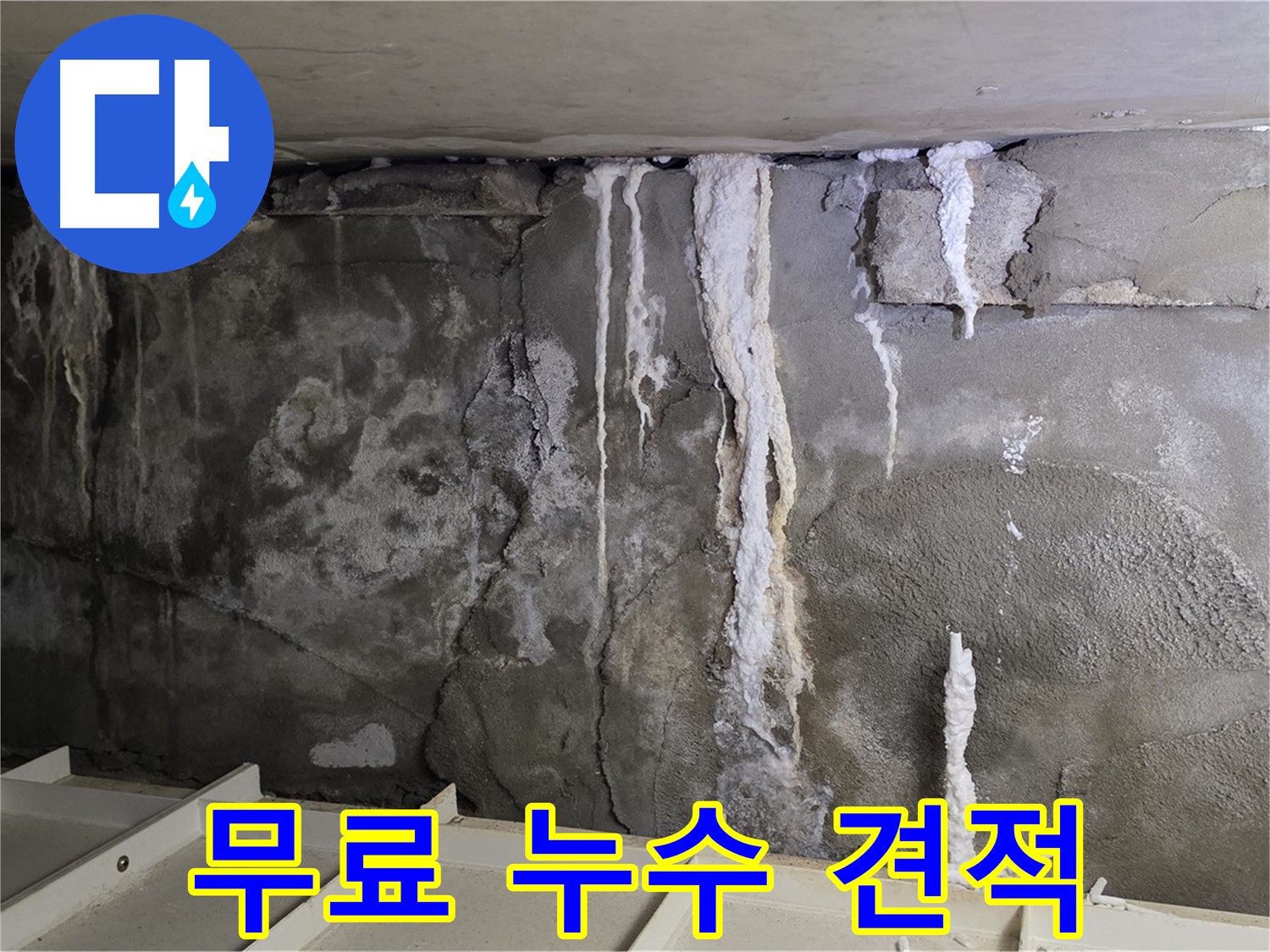 분당 운중동 건물 누수 - 무료 견적 상담, 부담 제로!