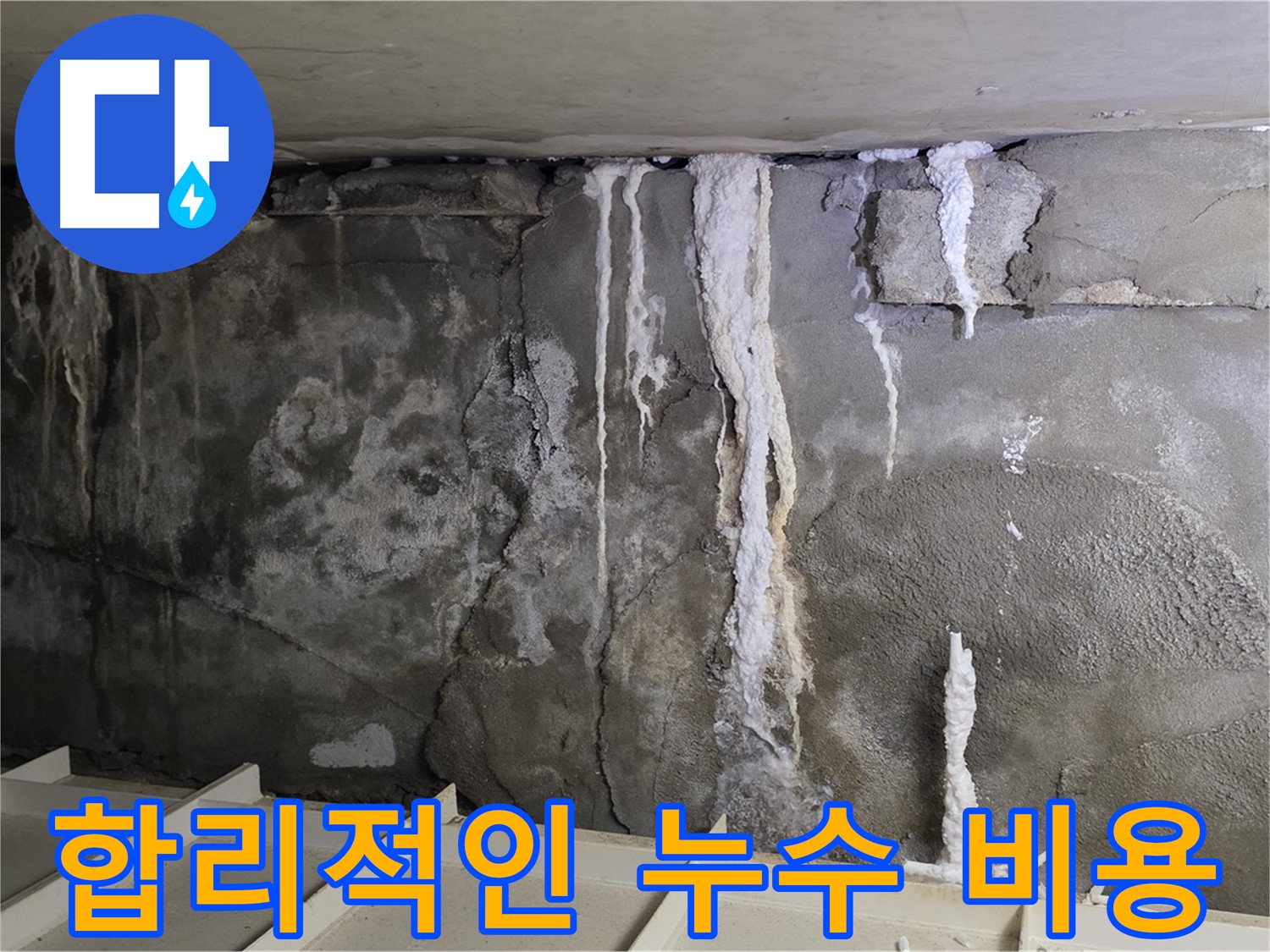 분당 운중동 건물 누수 - 합리적인 비용으로 누수 해결