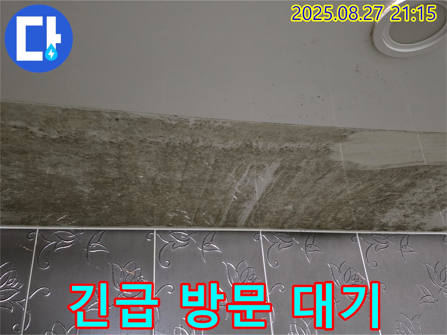 분당 운중동 산운마을 아파트 - 곰팡이 핀 천장 누수, 24시간 긴급 상황에 대비하고 있습니다.