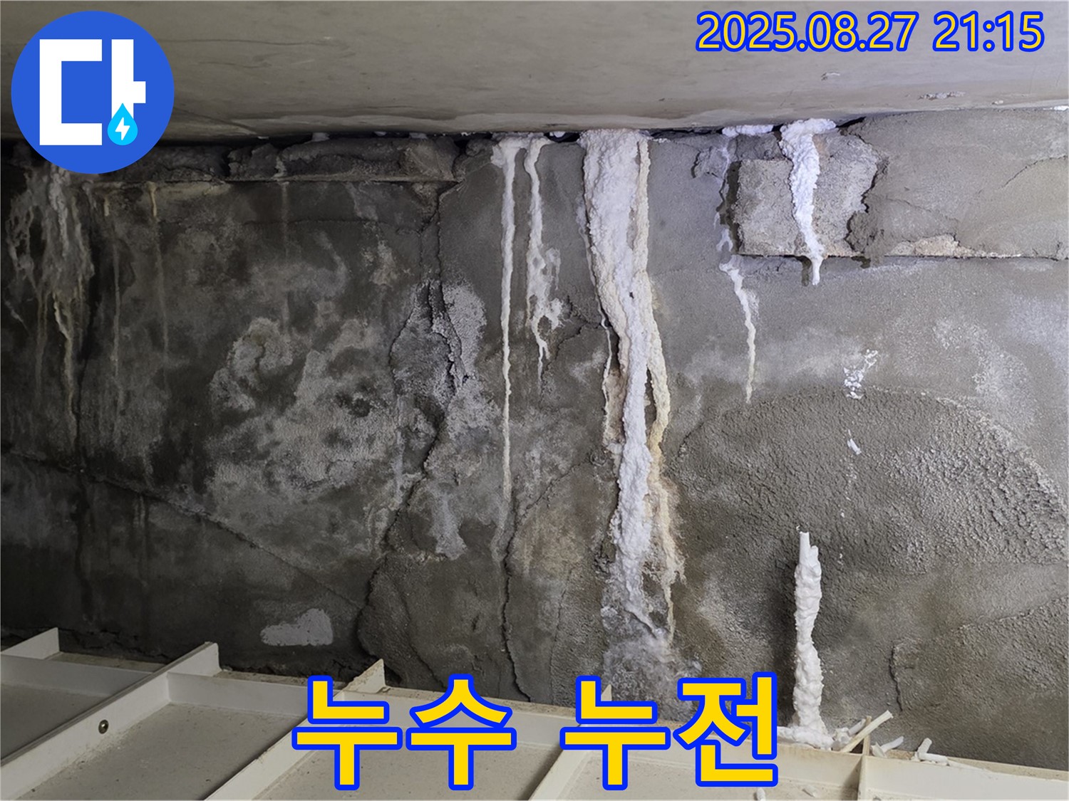 분당 운중동 산운마을6단지 콘크리트 누수 - 누수와 누전, 감전 위험