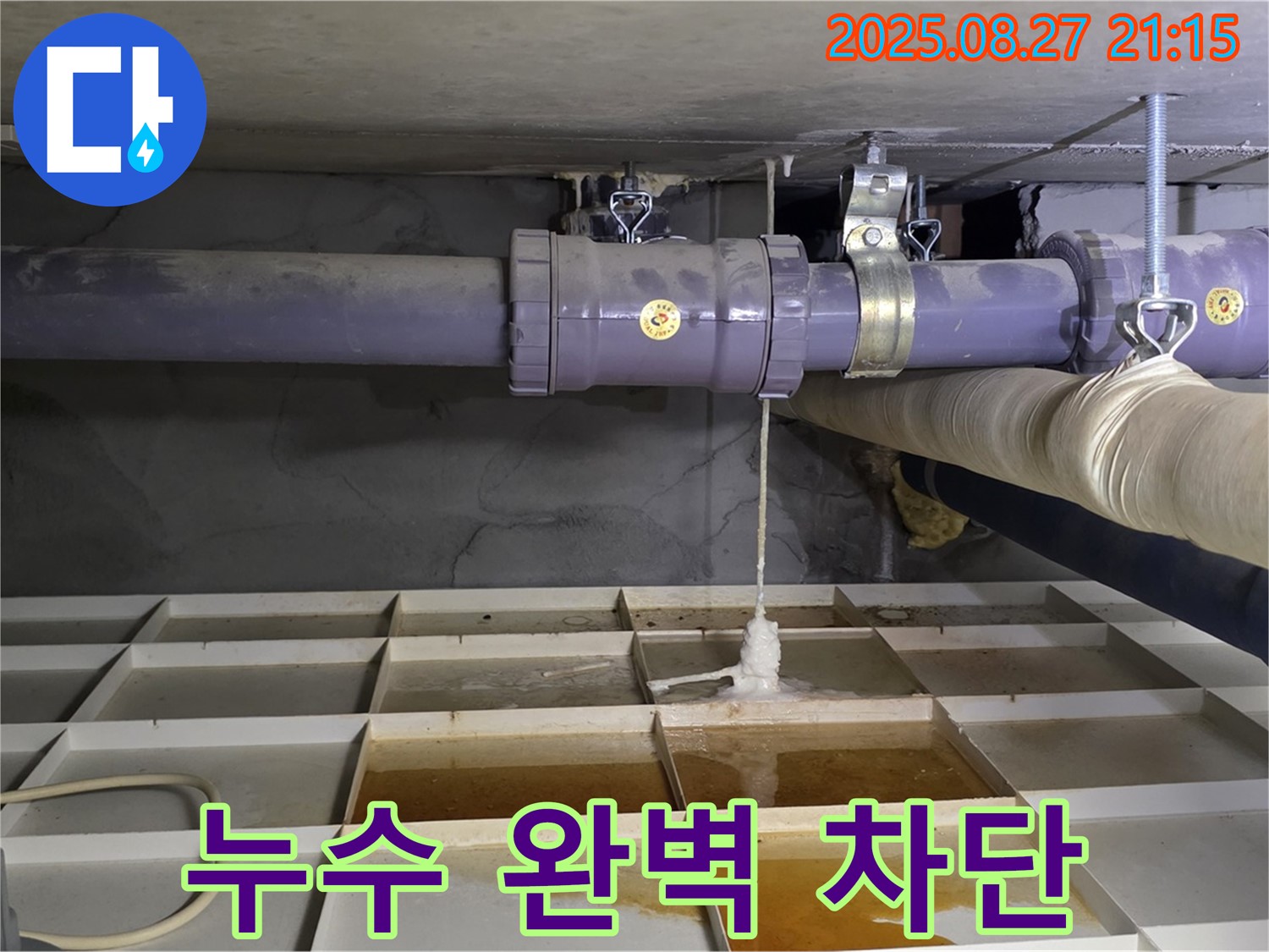 분당 운중동 아파트 누수 - 누수 전문가의 완벽한 누수 차단 시공