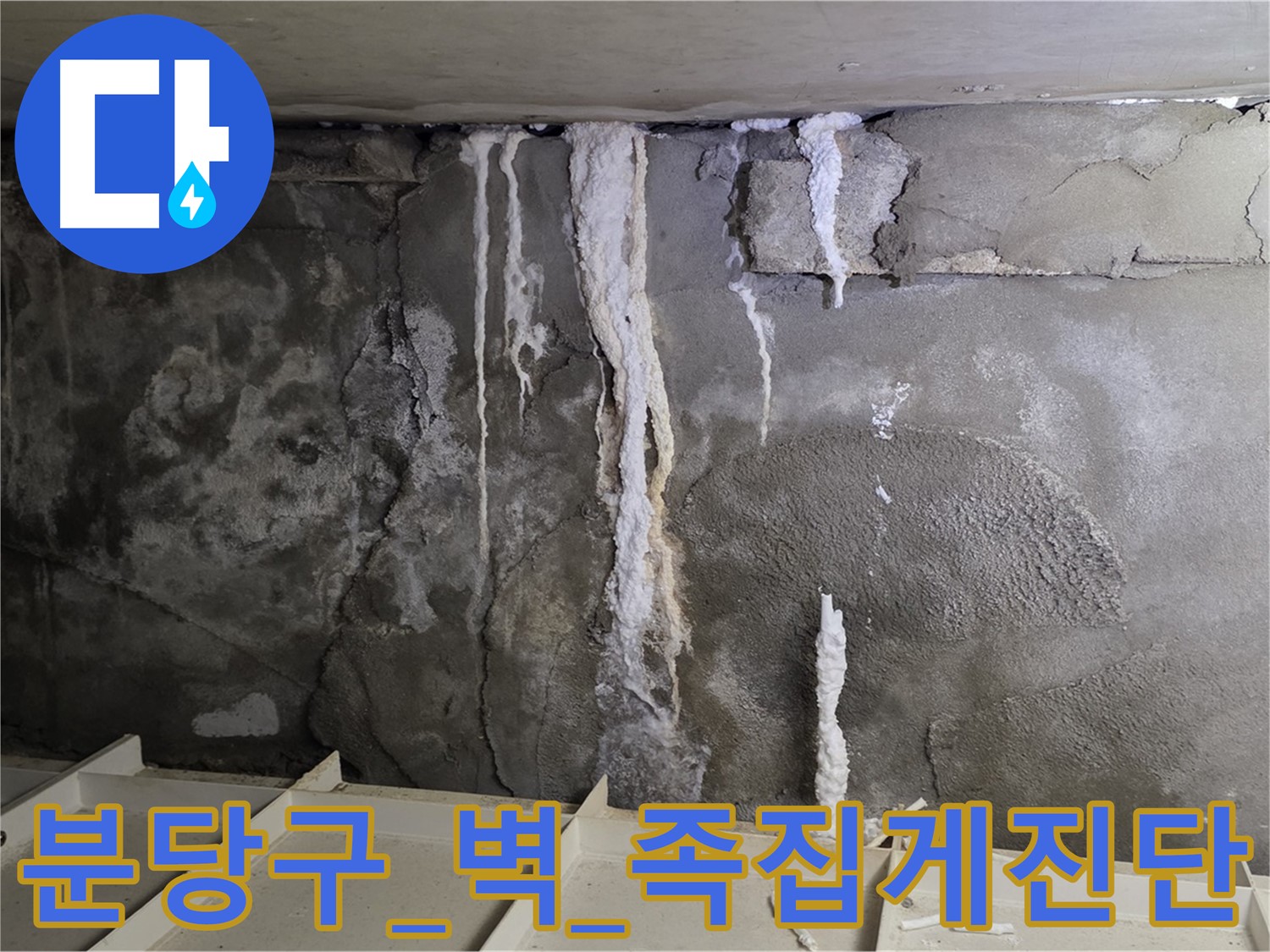 분당구 콘크리트 벽 - 석회수 분석, 족집게 진단