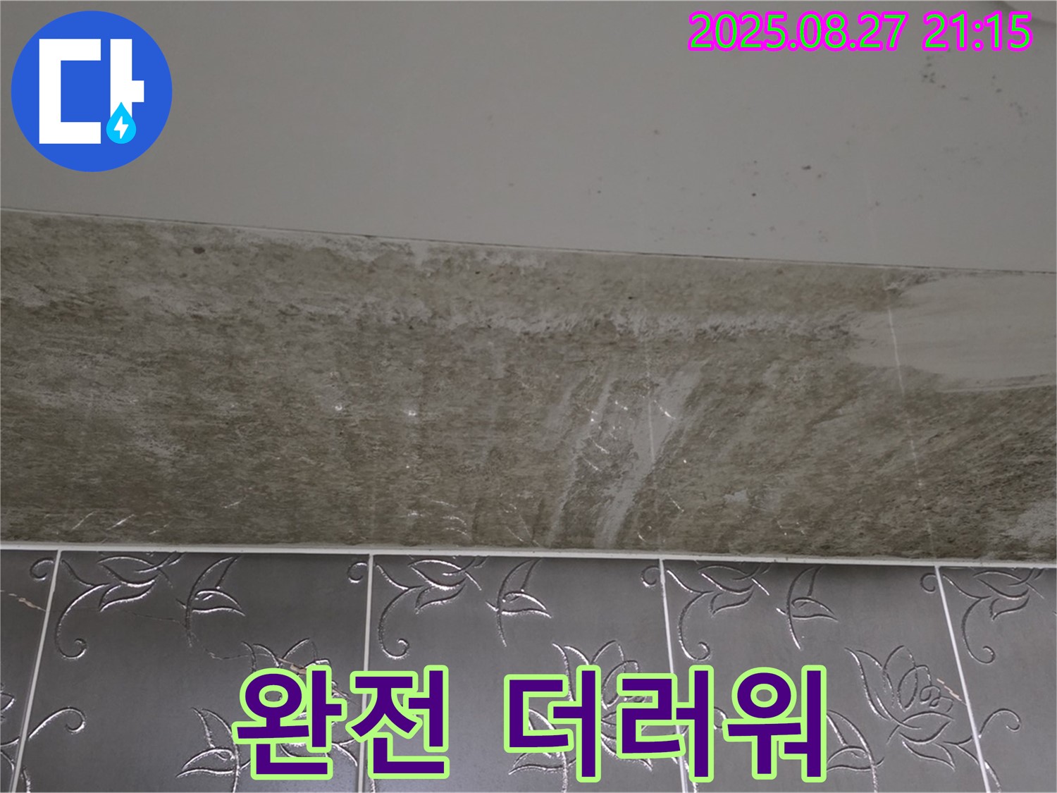 산운로 121 곰팡이 - 곰팡이, 완전 더러워!