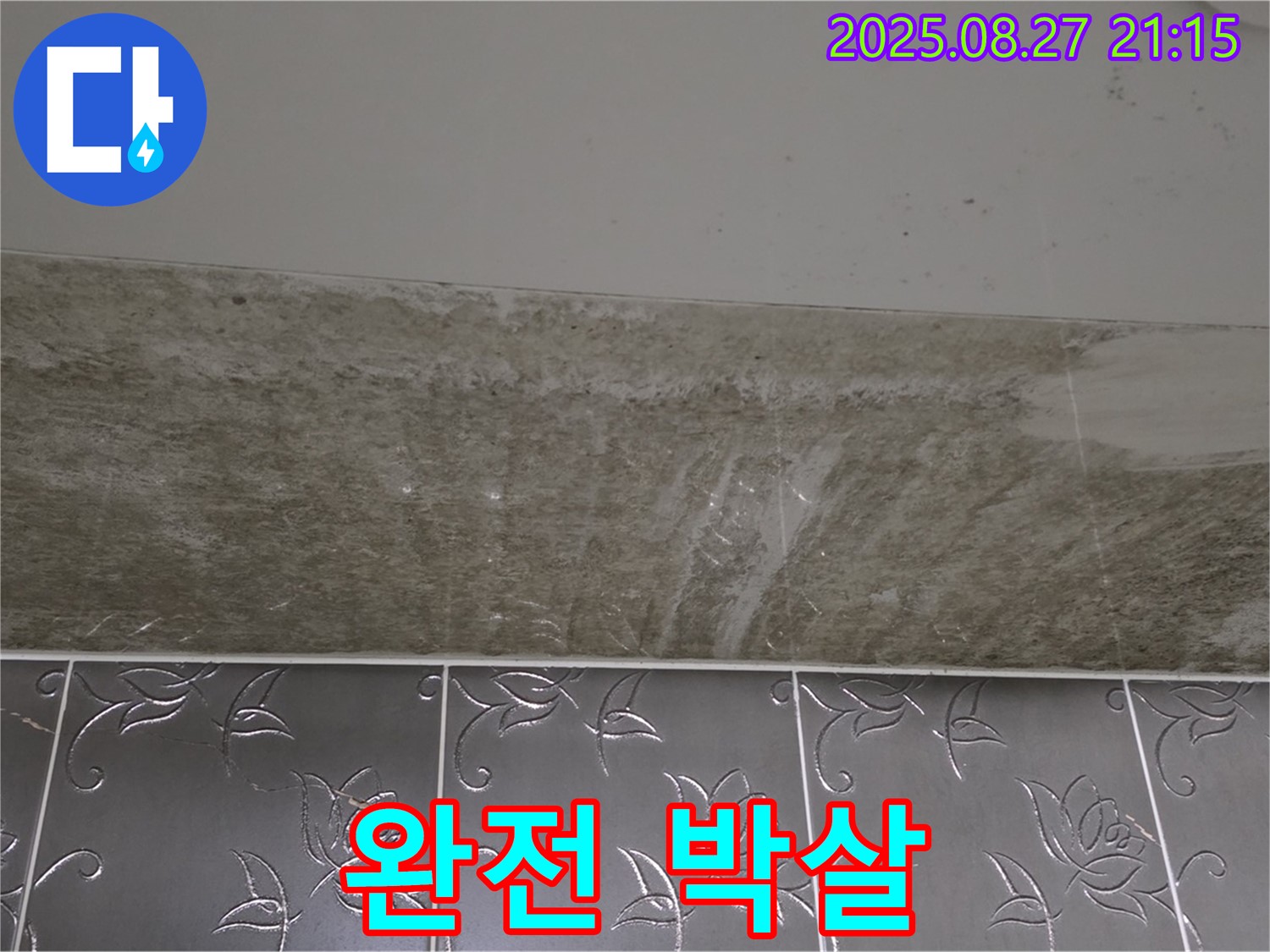 산운로 121 곰팡이 - 곰팡이 완전 박살!