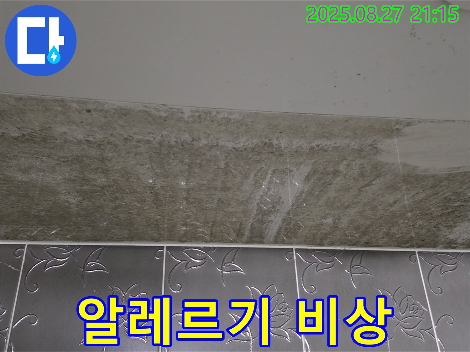 산운로 곰팡이 - 곰팡이 알레르기 비상!