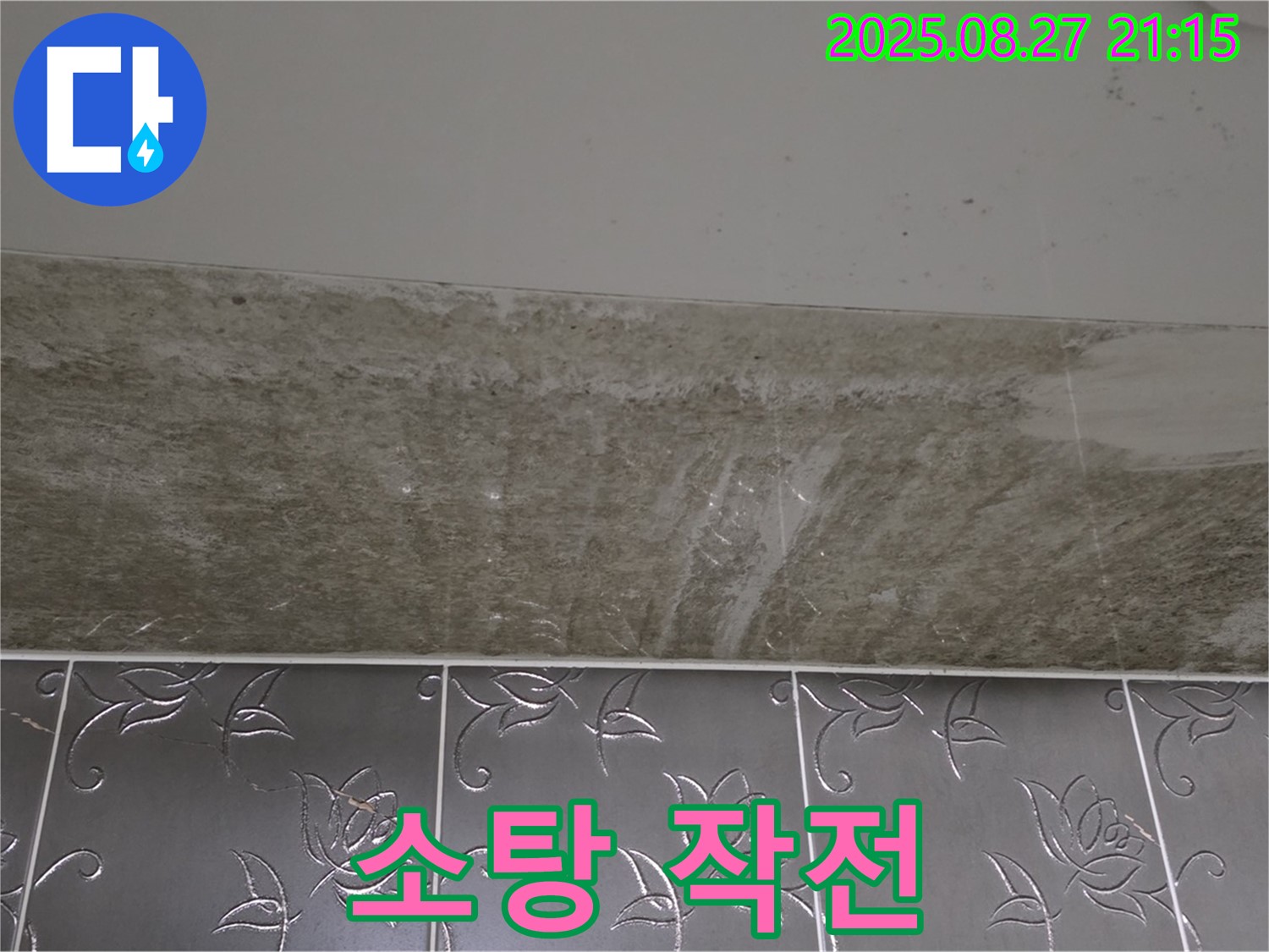 산운로 곰팡이 - 곰팡이 완전 소탕 작전!