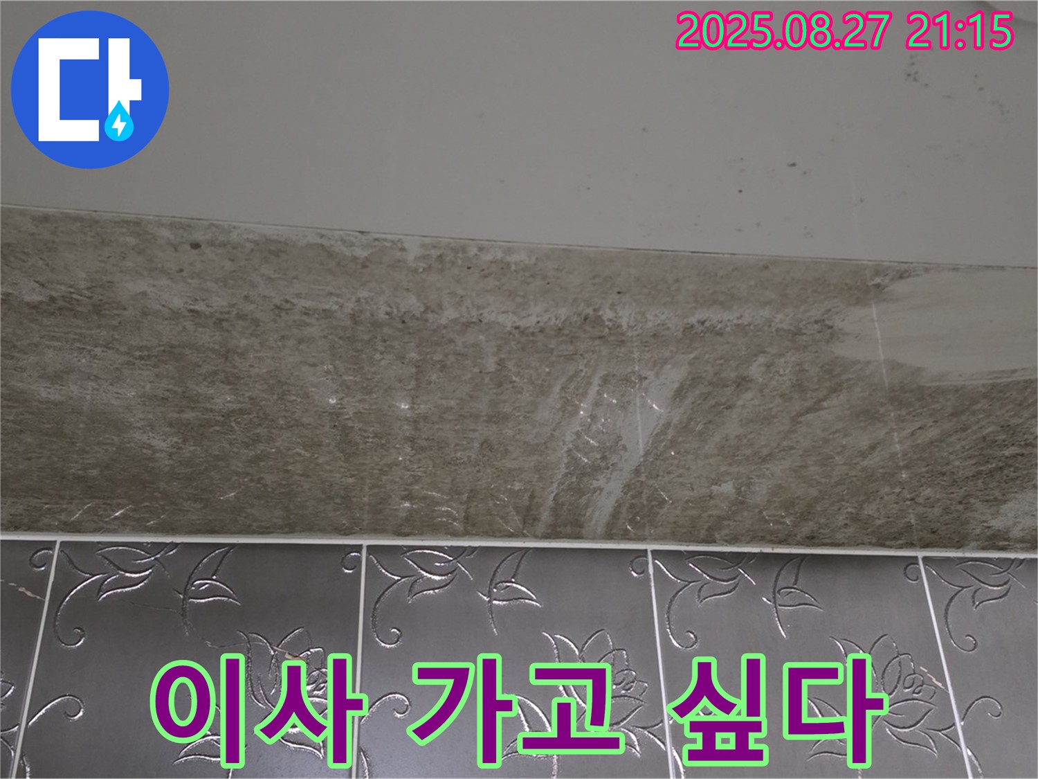 산운로 곰팡이 - 곰팡이, 이사 가고 싶어!