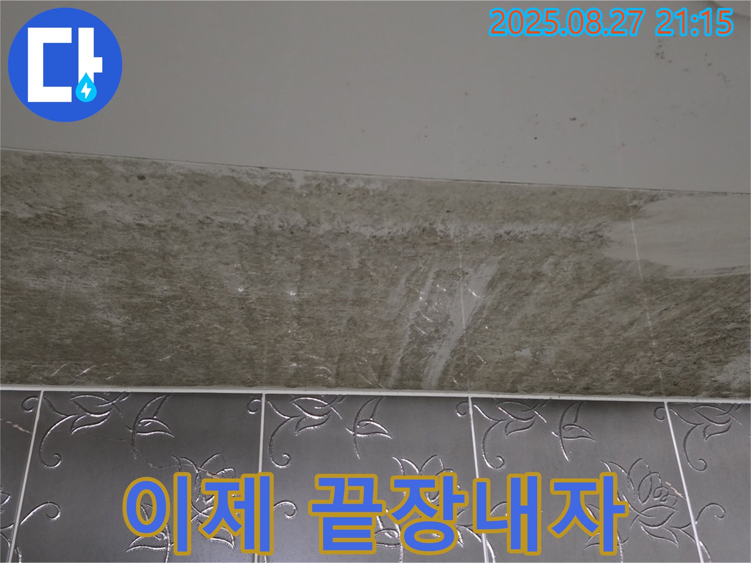 산운로 곰팡이 - 곰팡이, 이제 끝장내자!