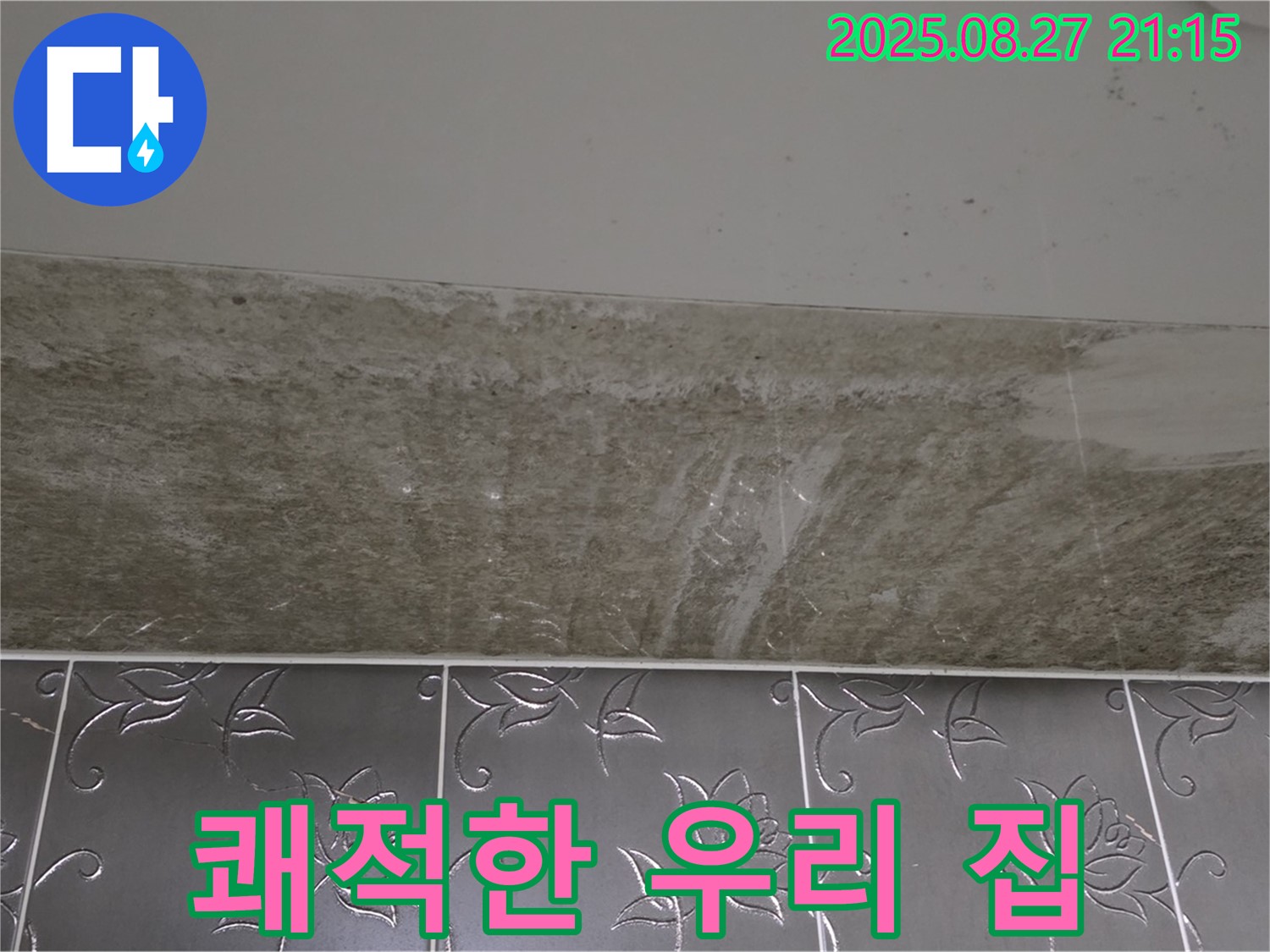 산운로 곰팡이 - 곰팡이 해결! 쾌적한 우리 집!