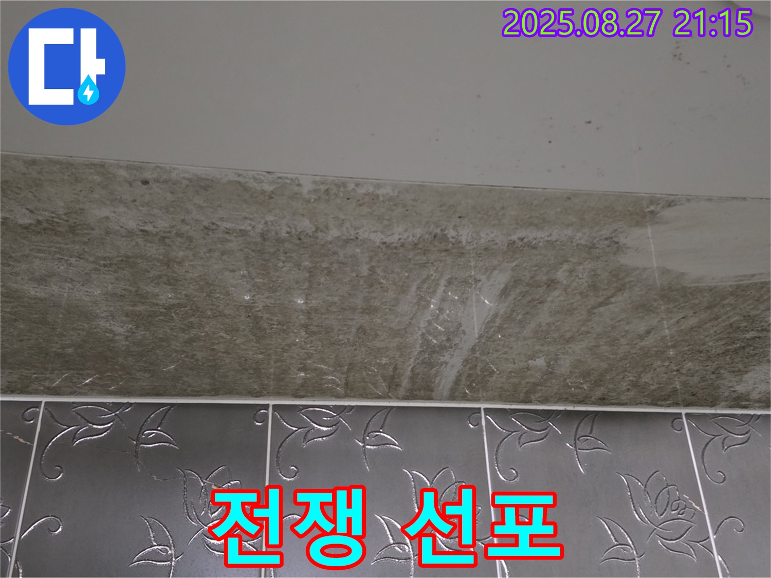 산운로 곰팡이 - 곰팡이와의 전쟁 선포!