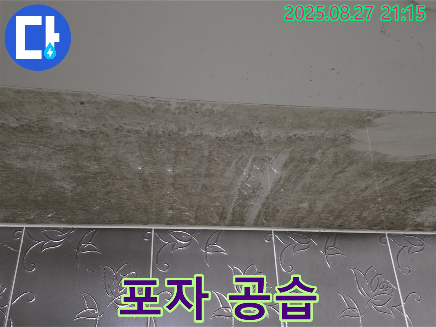 산운마을 곰팡이 - 곰팡이 포자 공습!