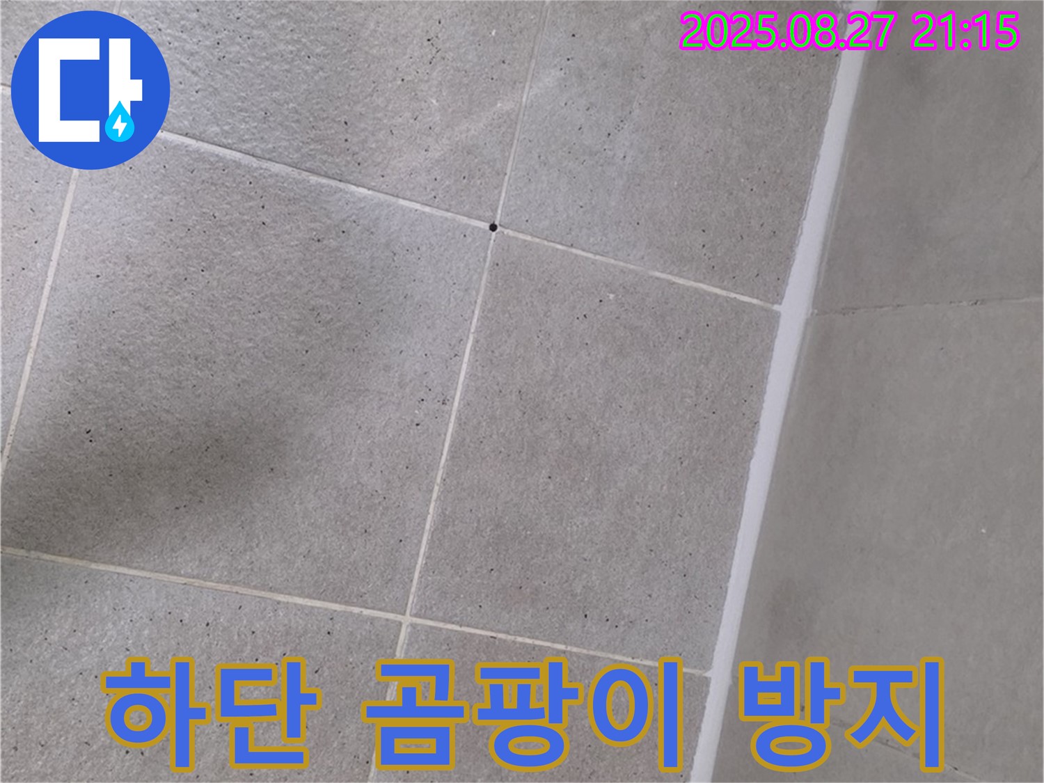 샤워부스 하단 실리콘 곰팡이 - 완벽 제거 후 재시공으로 누수 방지!