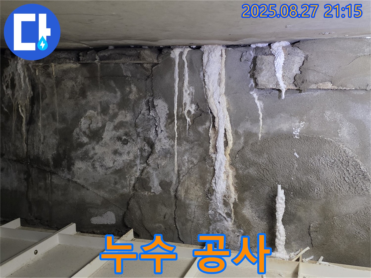 성남 분당 운중동 산운마을 아파트 누수 공사 - 누수 탐지부터 완벽한 공사까지 책임집니다.