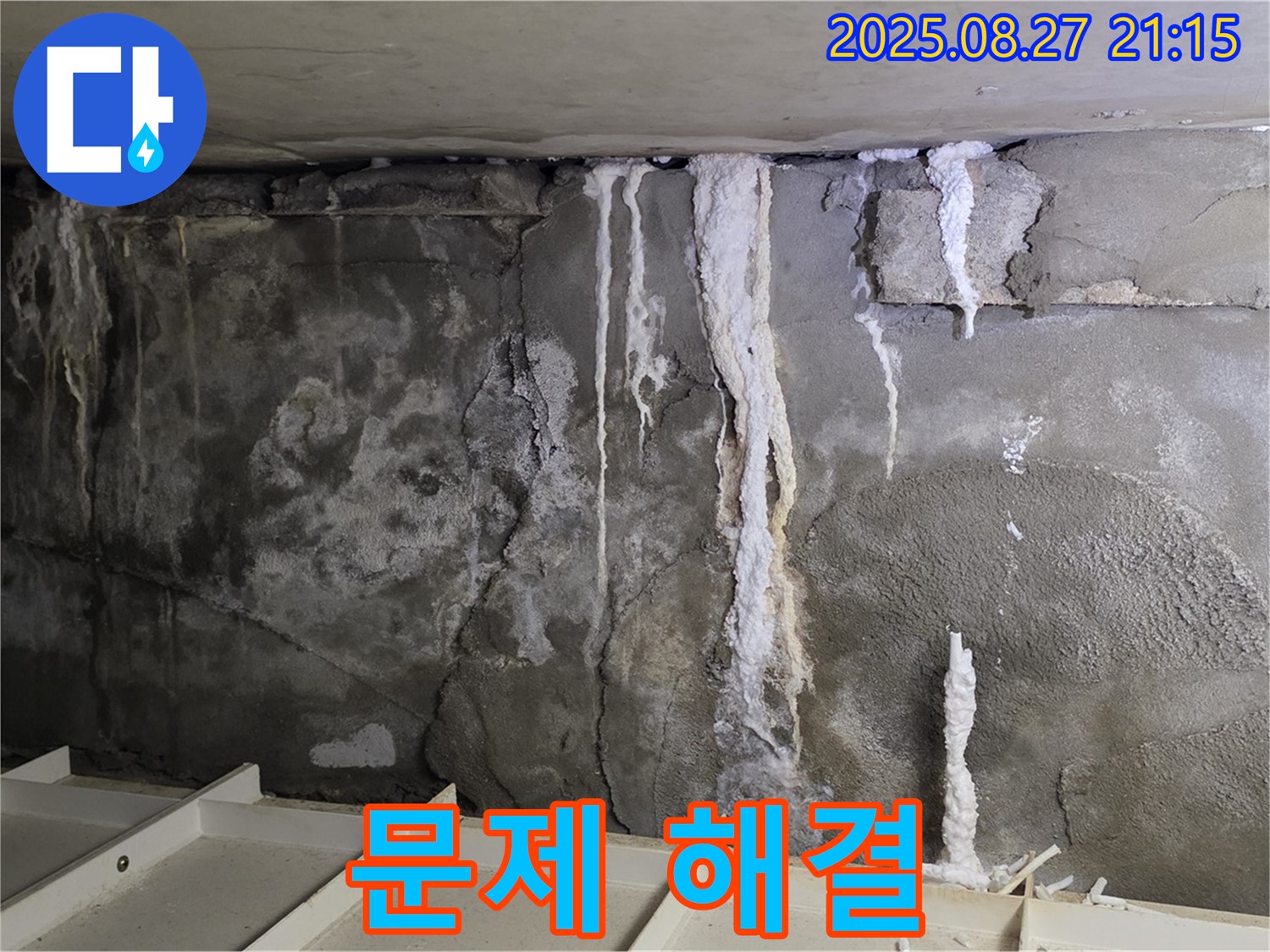 성남 분당 운중동 산운마을6단지 콘크리트 누수 - 누수 문제 해결, 고객 만족 최우선