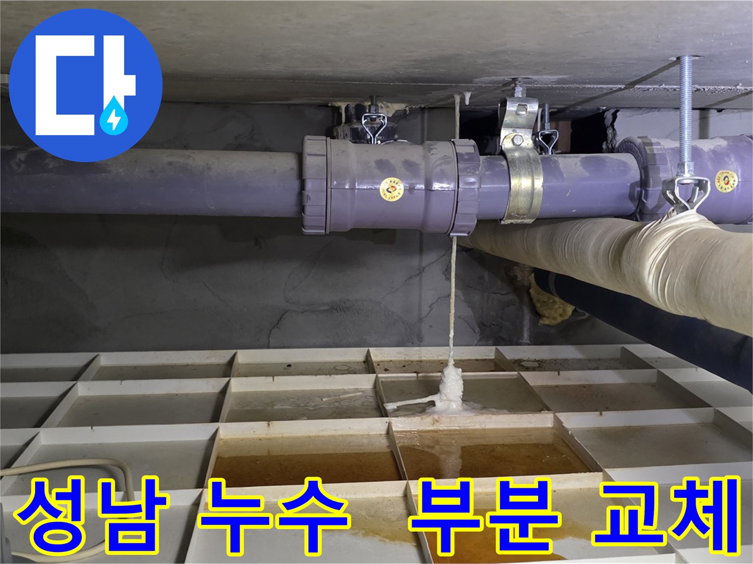 성남 산운마을 배관 누수 - 연결 부위 파손, 신속한 부분 교체