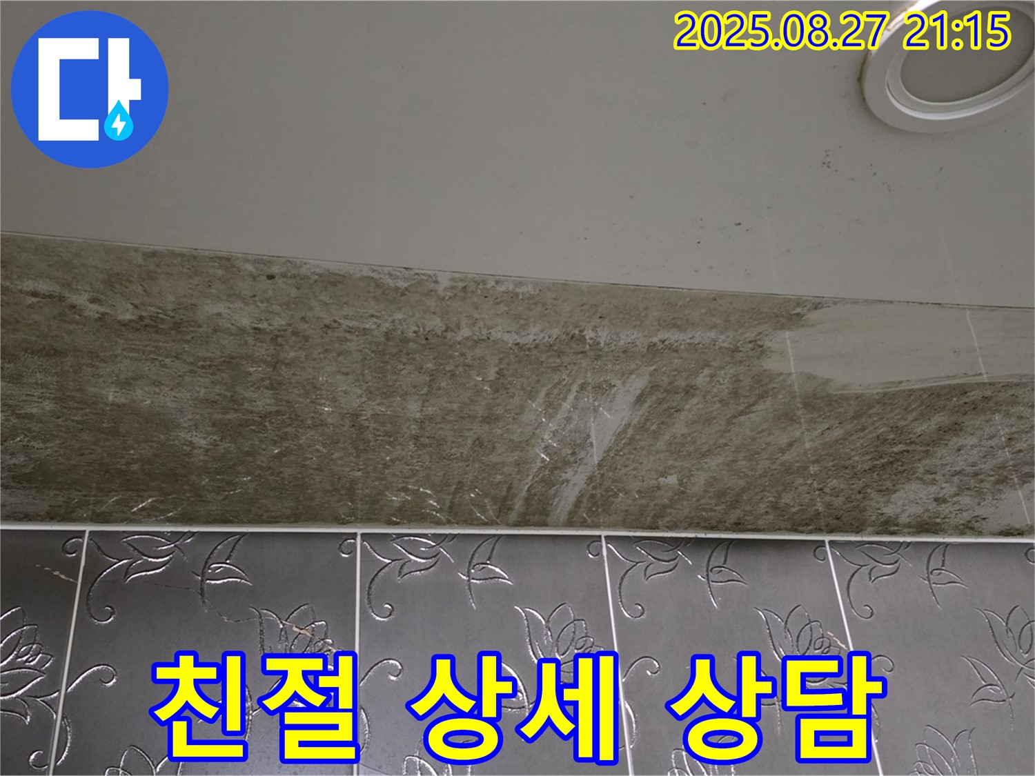 성남시 분당구 운중동 산운마을 아파트 - 곰팡이 핀 천장 누수, 친절하고 상세한 상담을 제공합니다.