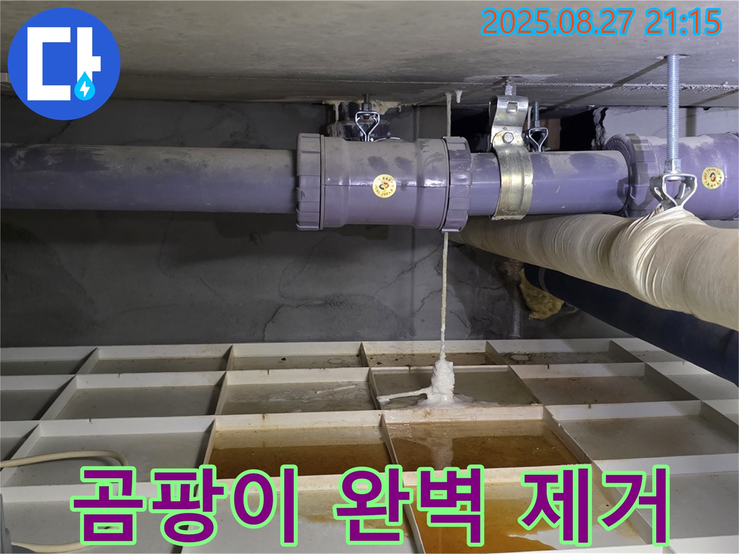 성남시 분당구 운중동 산운마을6단지 - 누수 부위 주변 곰팡이 완벽 제거!