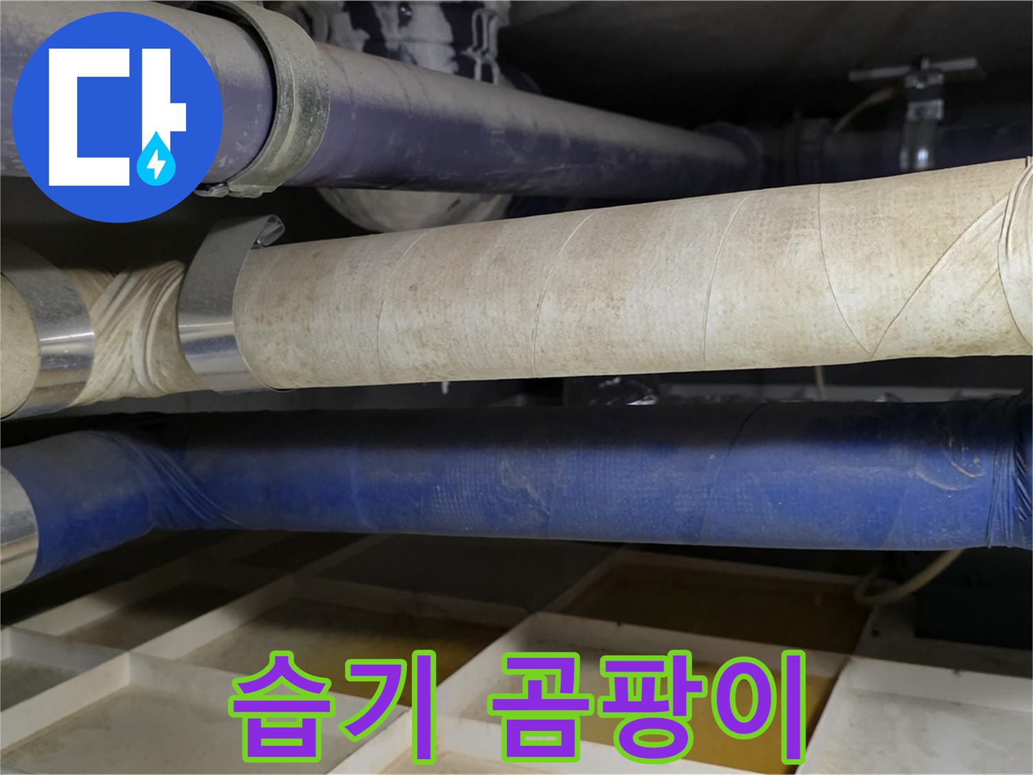 엉망진창 보온재 - 습기 먹고 쑥쑥 자라는 곰팡이
