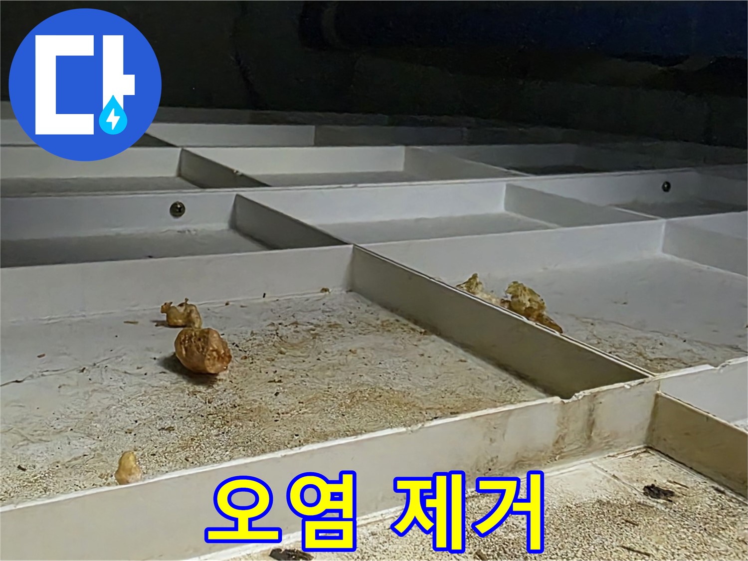 오염 제거 - 누수 후 오염 제거 작업