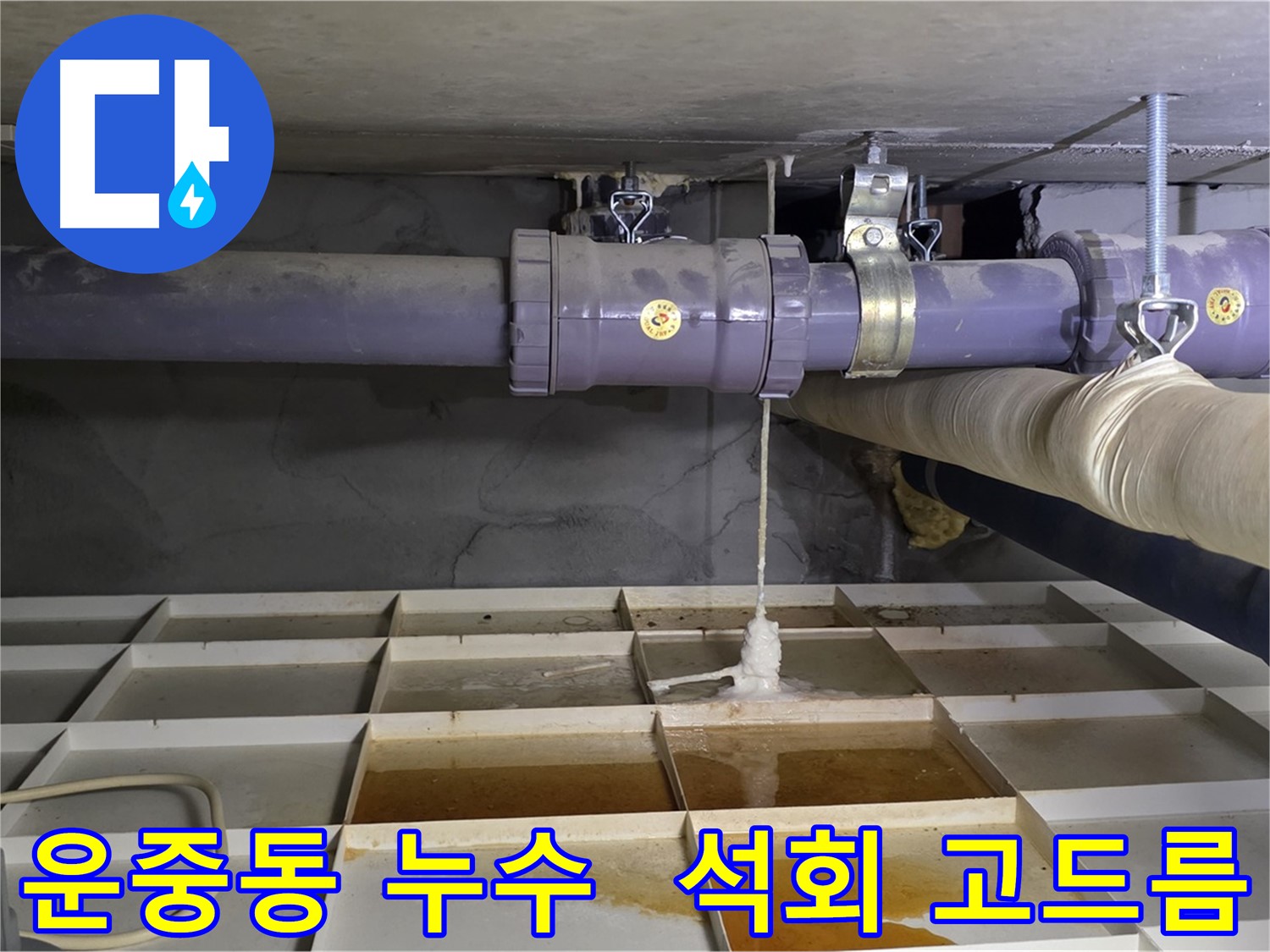 운중동 하수 배관 누수 - 석회 고드름으로 누수 여부 확인