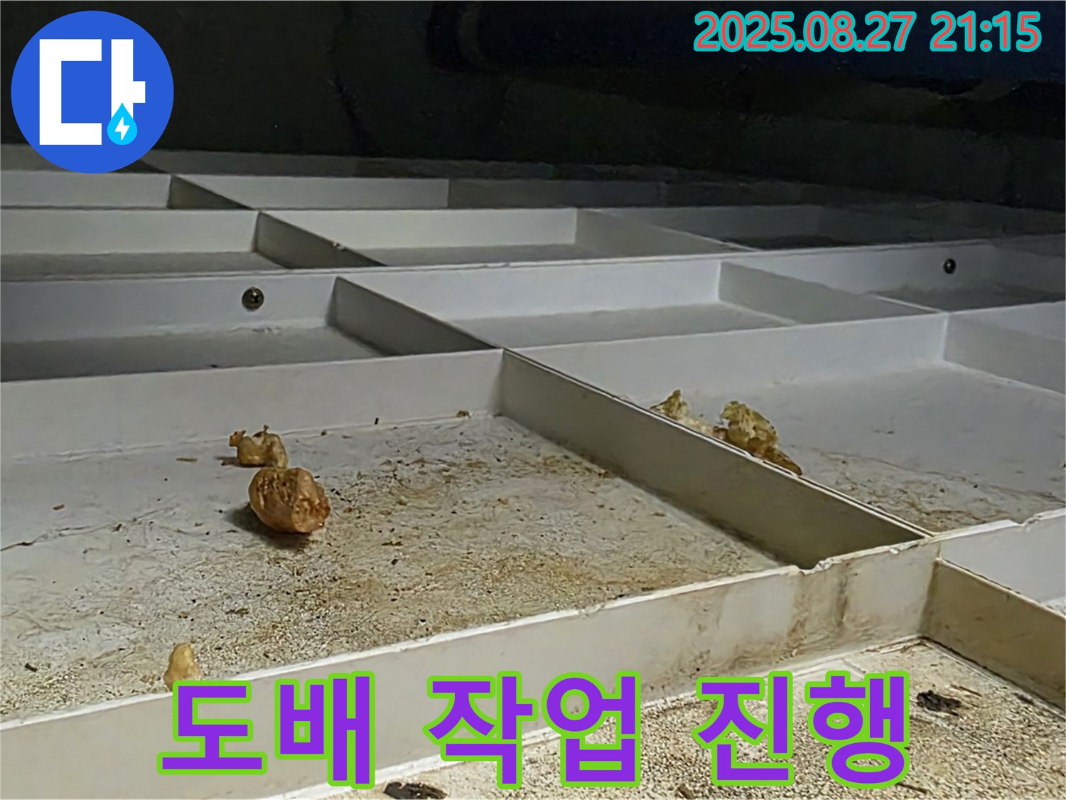 천장 누수 도배 작업 진행 - 꼼꼼하게 도배합니다.