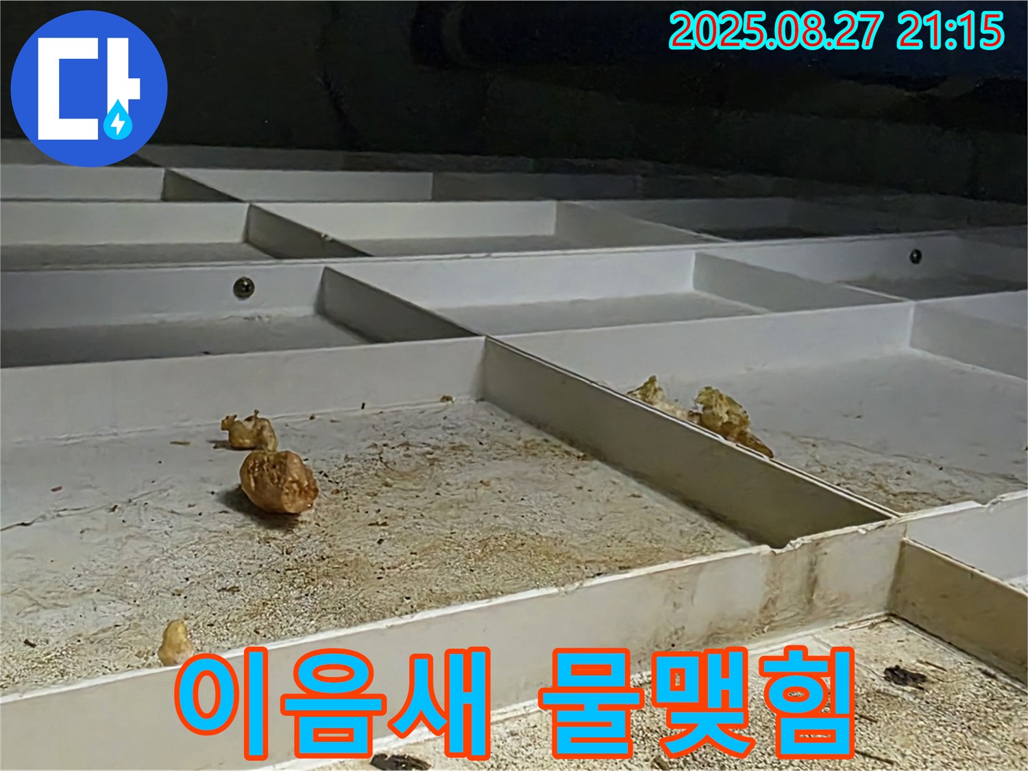 천장 누수 - 배관 이음새 물맺힘 - 누수 가능성 높음