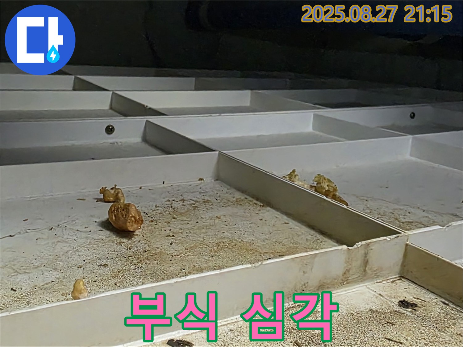 천장 누수 - 부식 심각 - 누수 위험 매우 높음