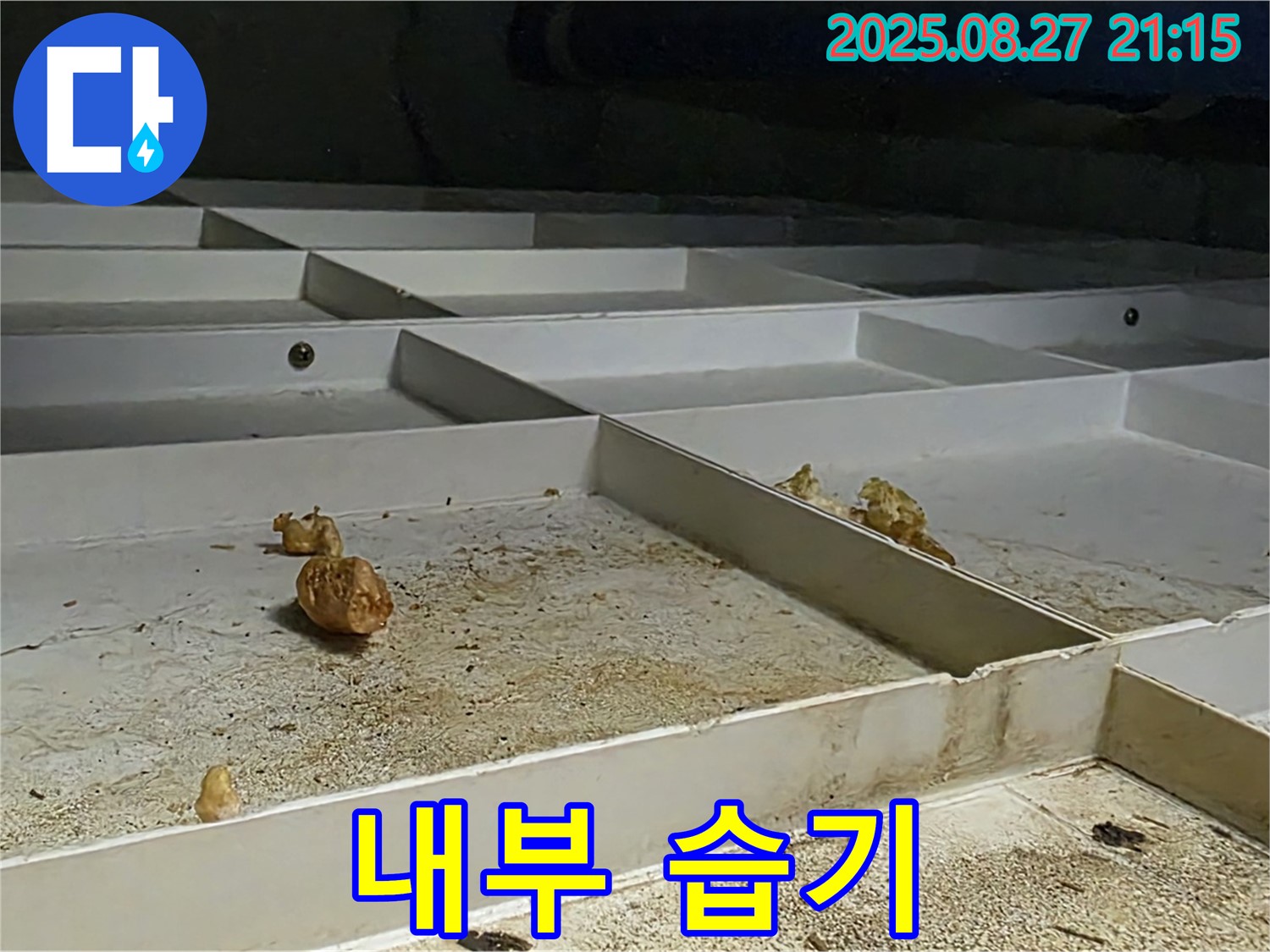 천장 누수 - 석고보드 내부 습기 가득 - 곰팡이 발생 위험