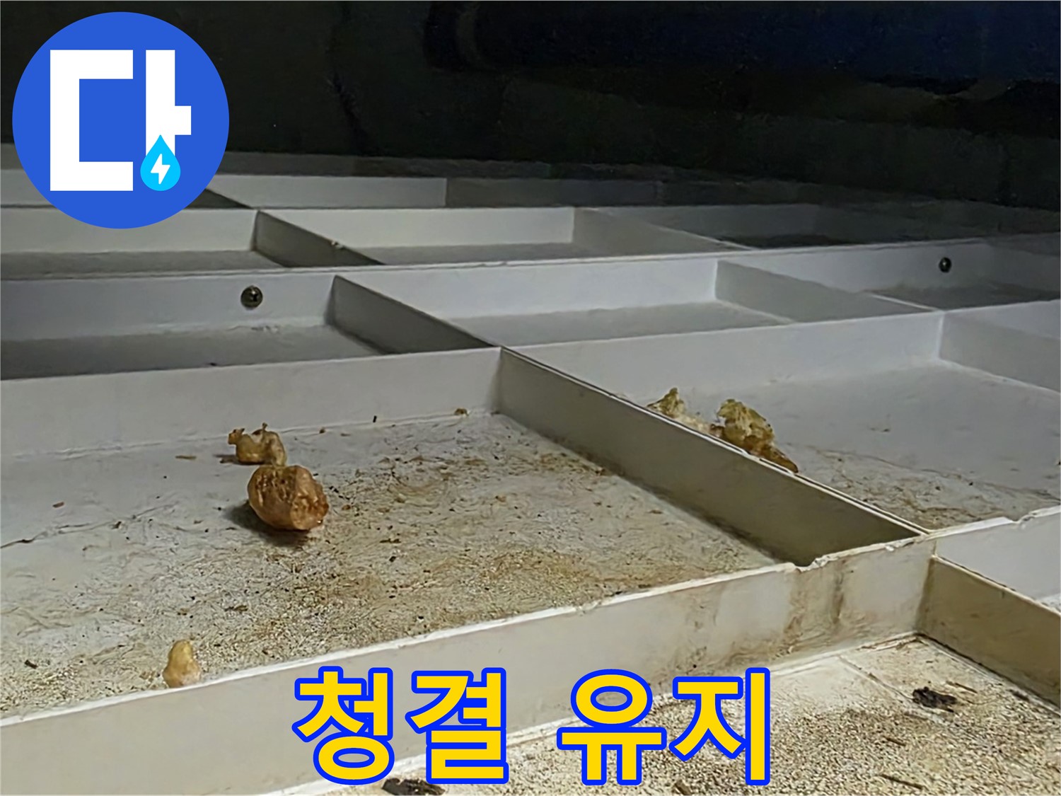 청결 유지 - 누수 후 깨끗한 청결 유지