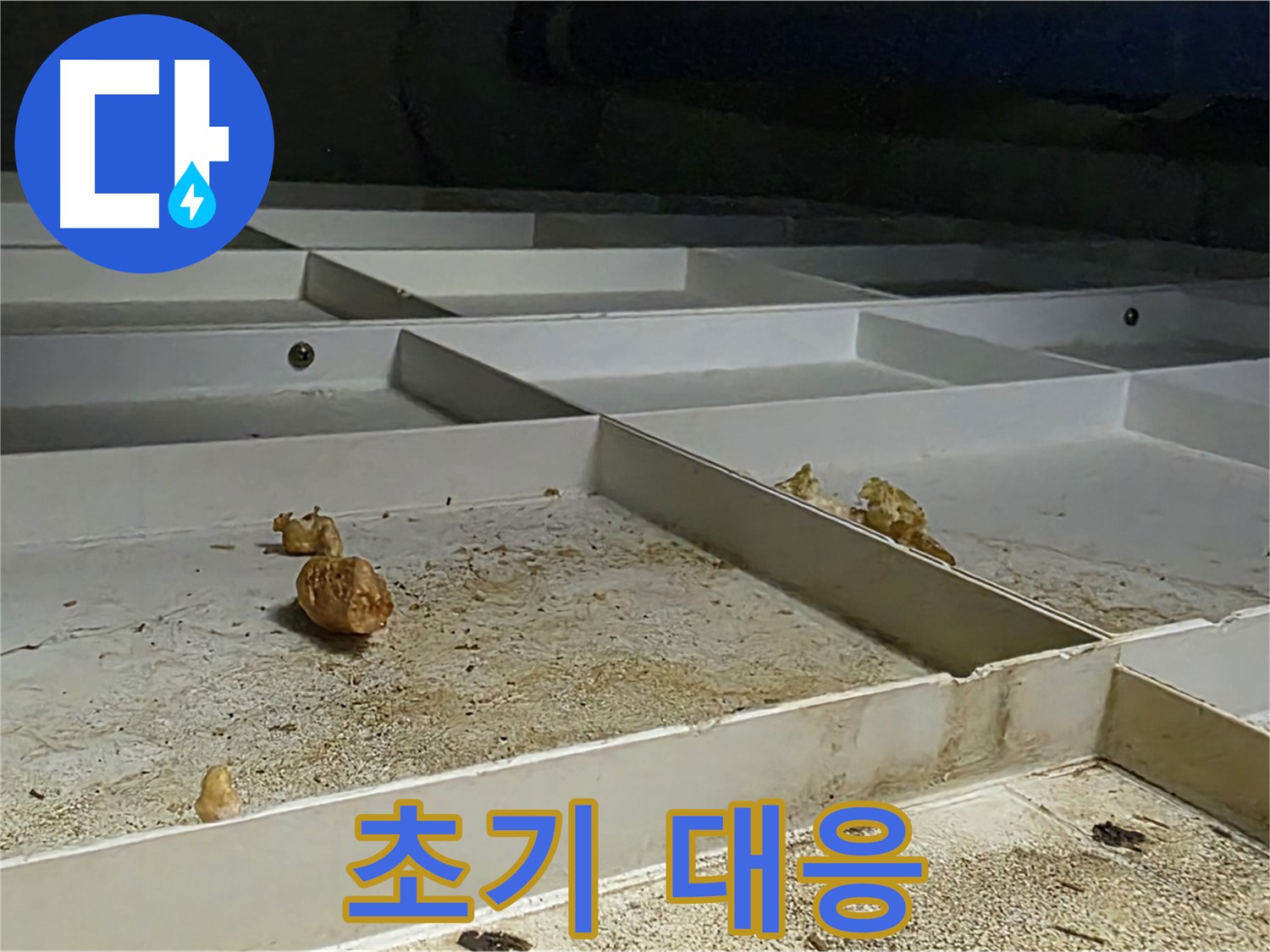 초기 대응 - 누수 초기 발견