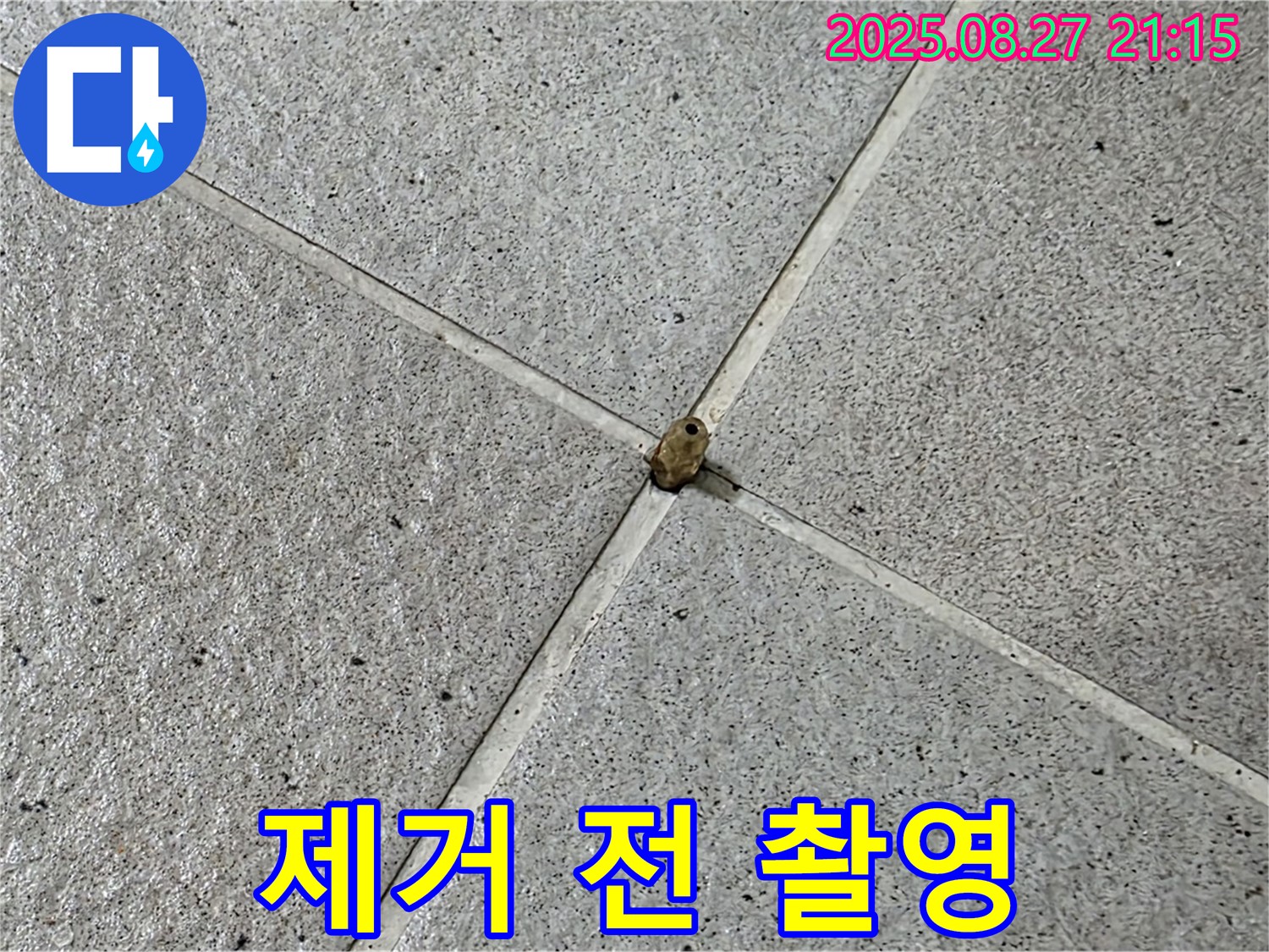타일 십자핀 - 제거 작업 시작 전 촬영 사진