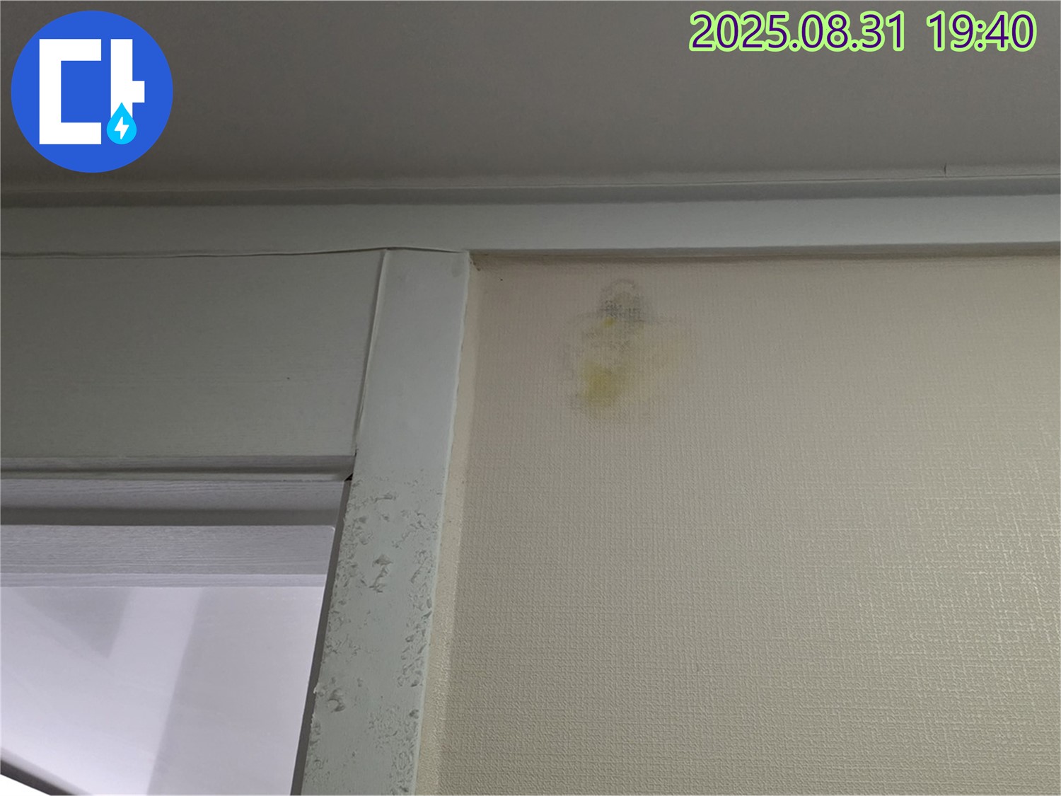 벽 변색 - 젖음 - 얼룩 - 분당 산운로 누수