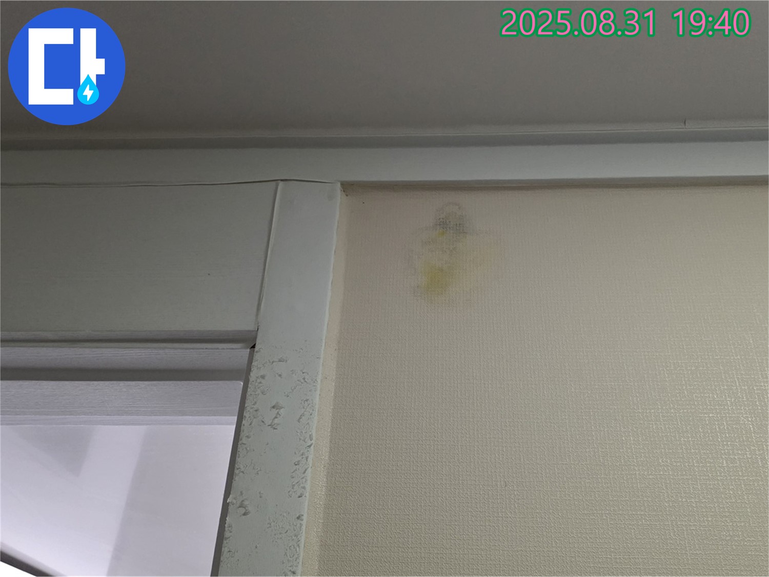 벽 젖음 - 곰팡이 발생 - 분당 산운로 누수