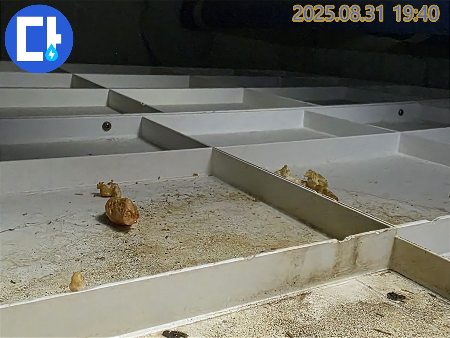 분당 산운로 주택 누수 - 누수 원인 꼼꼼 진단 과정