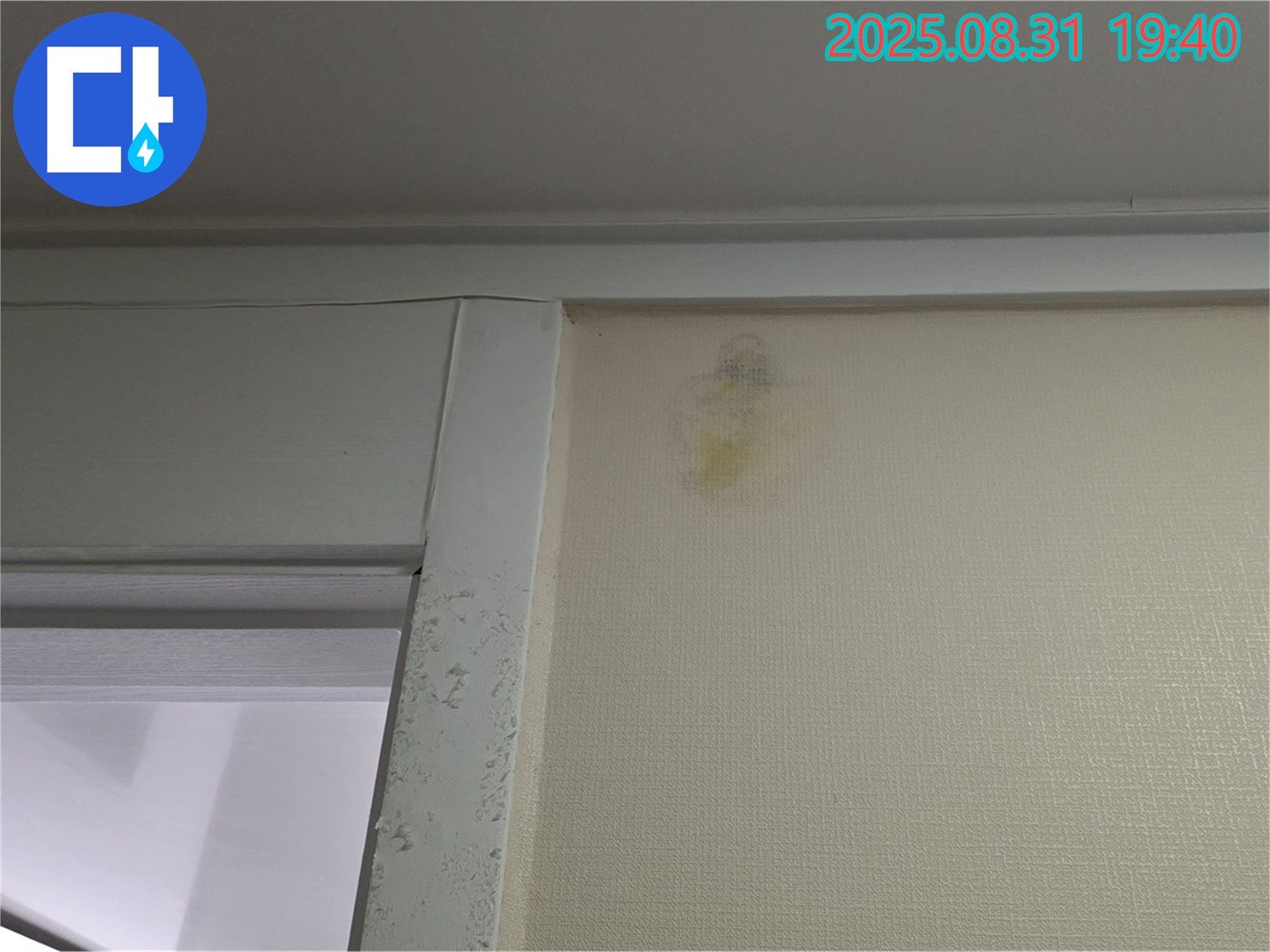 벽면 얼룩 해결 - 성남 분당 산운로 누수 - 완벽 해결