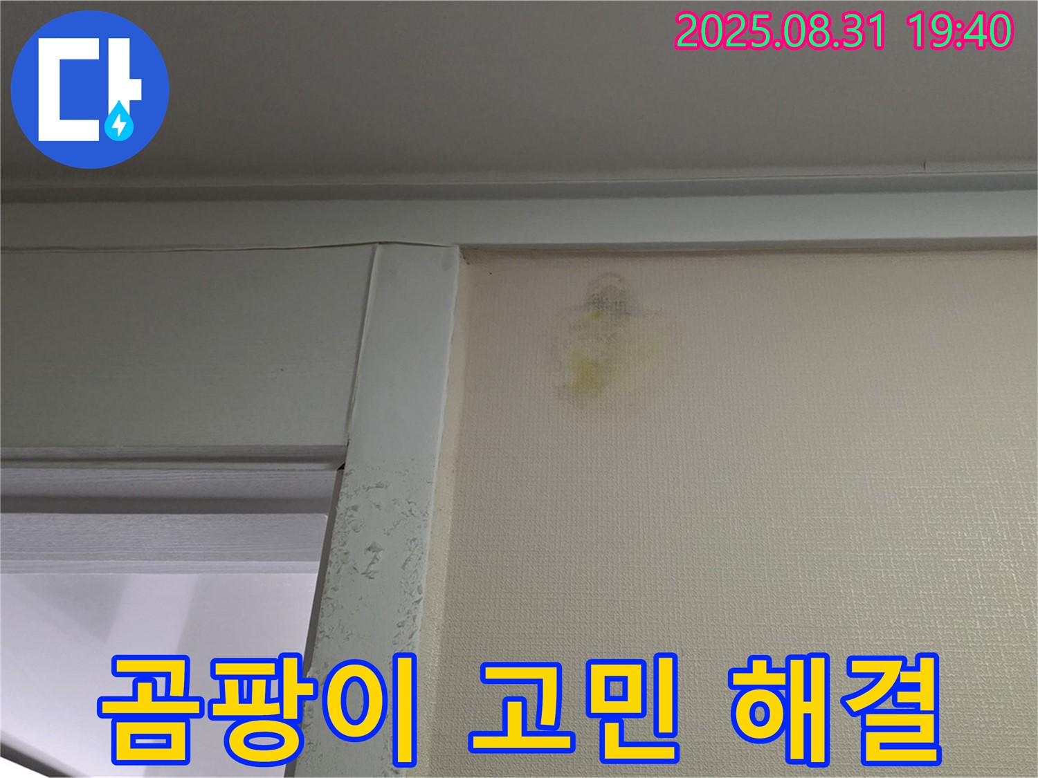 곰팡이 고민 해결 - 성남 분당 산운동 누수 - 전문가 해결