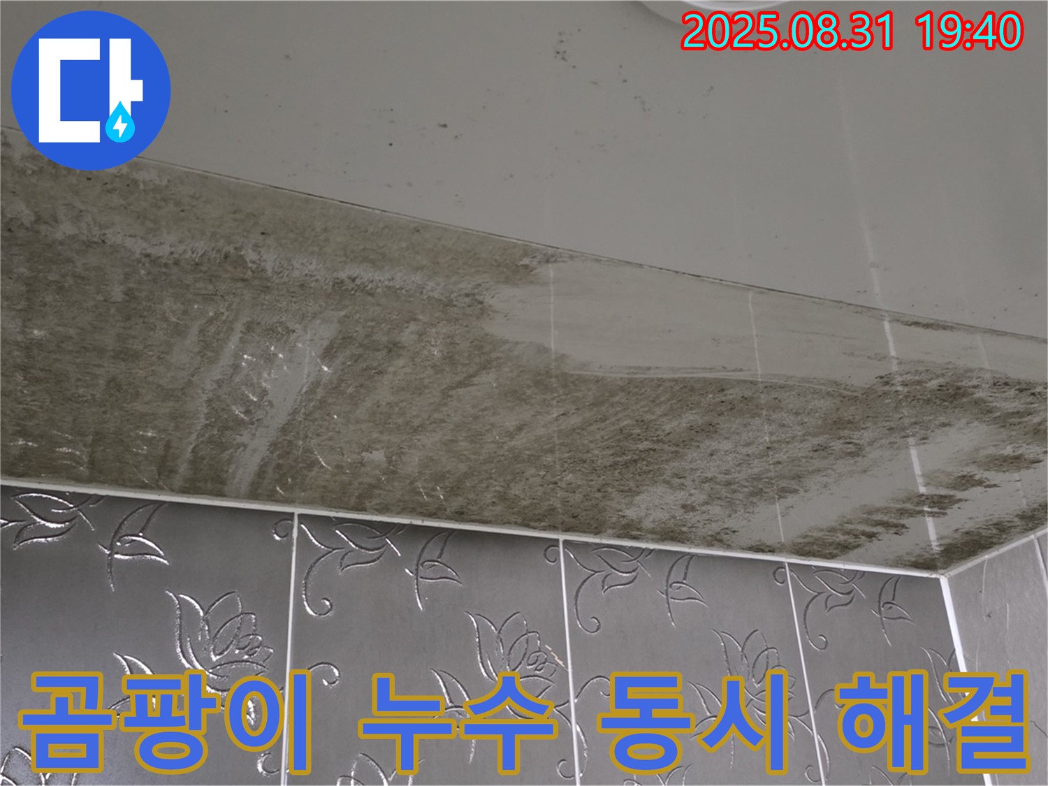 곰팡이 누수 동시 해결 - 누수 원인 제거와 곰팡이 제거를 한 번에