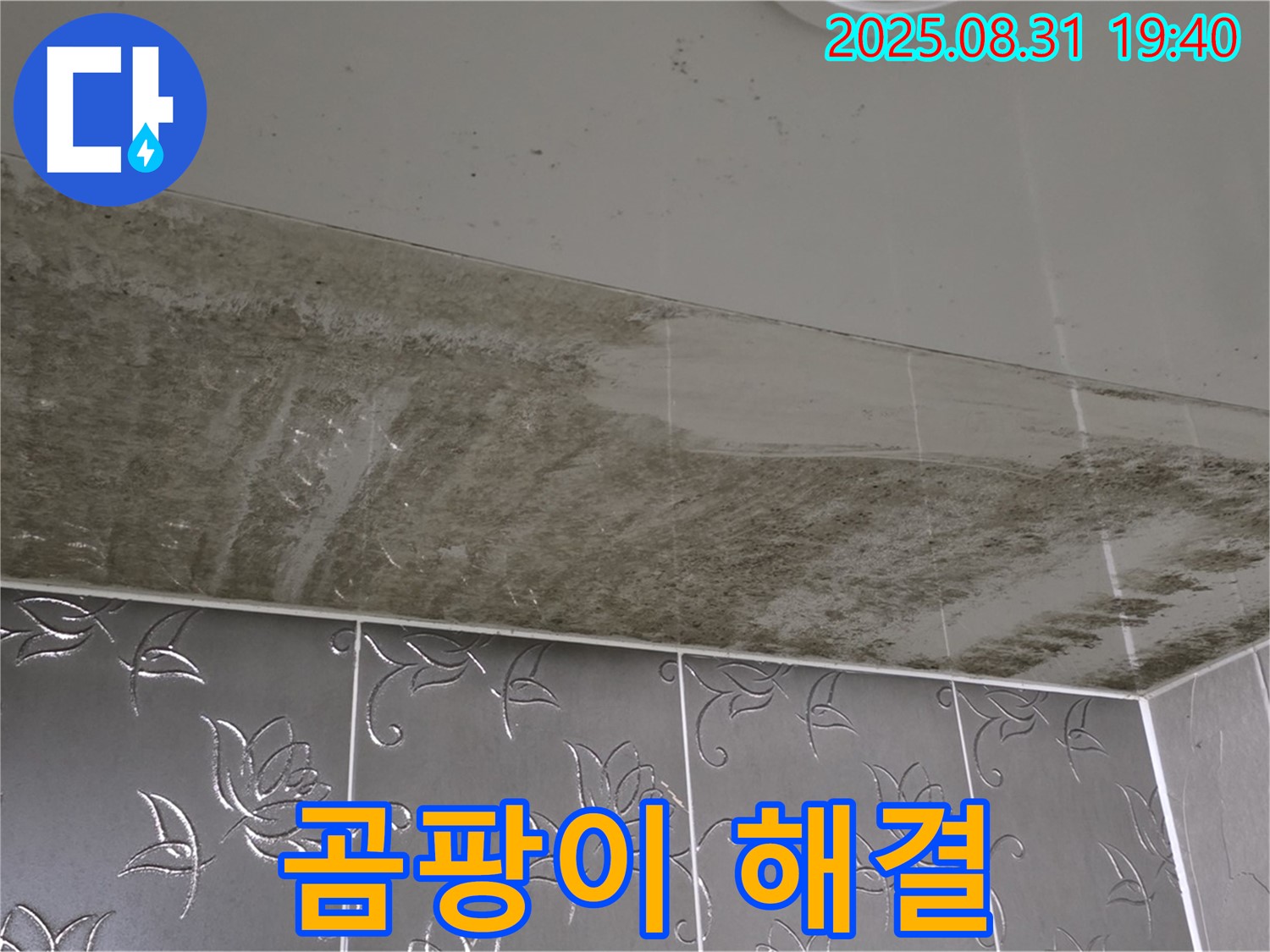 곰팡이 뒤덮인 욕실 천장 - 완벽 해결 후 깨끗