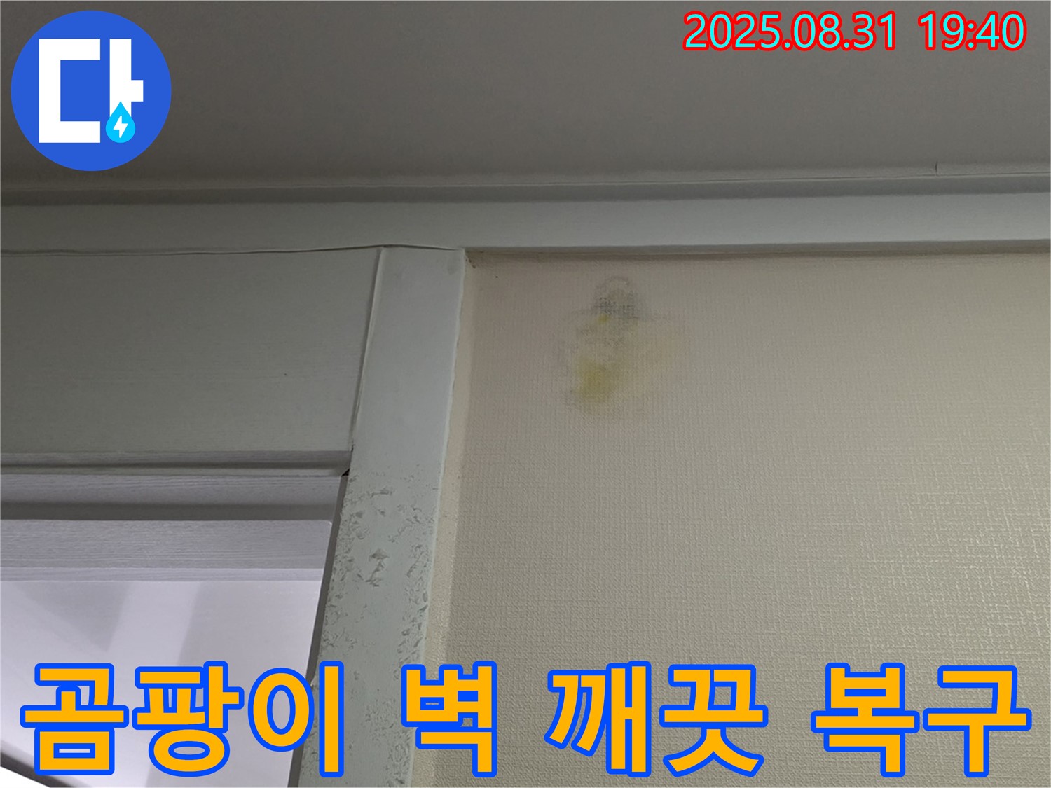 곰팡이 벽 깨끗 복구 - 백현동 누수 해결 - 분당구