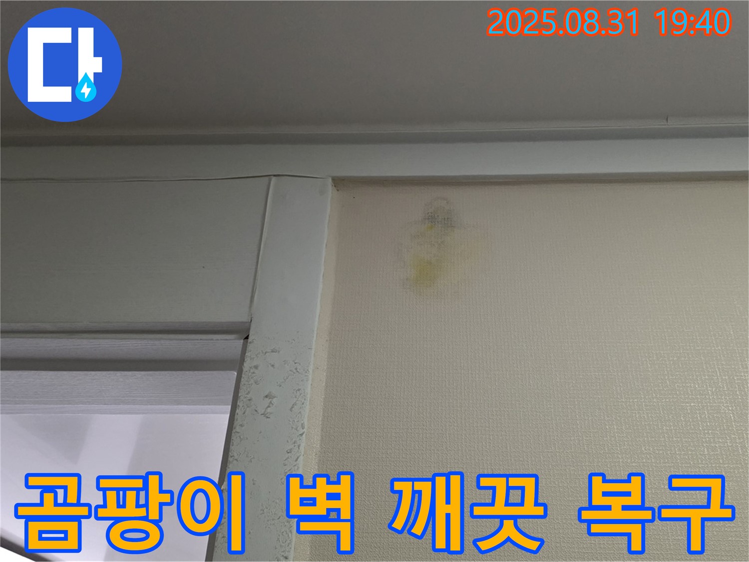 곰팡이 벽 깨끗 복구 - 운중동 누수 해결 - 분당구
