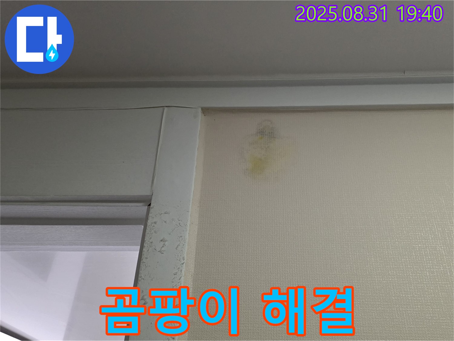 곰팡이 해결 - 성남 분당 산운동 누수 - 쾌적한 공간