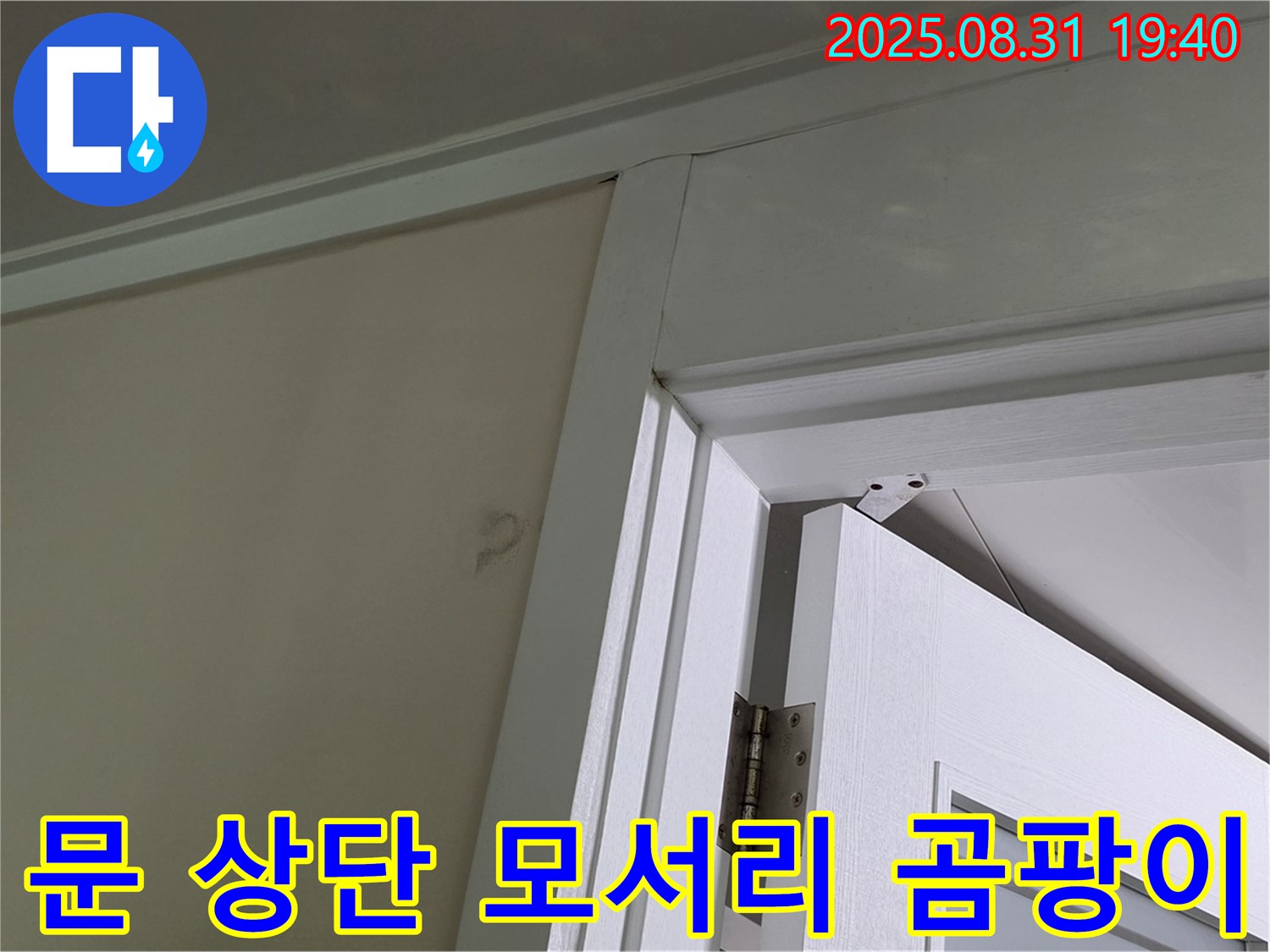 문 상단 모서리 곰팡이 - 문 상단 모서리에 곰팡이가 발생했습니다.