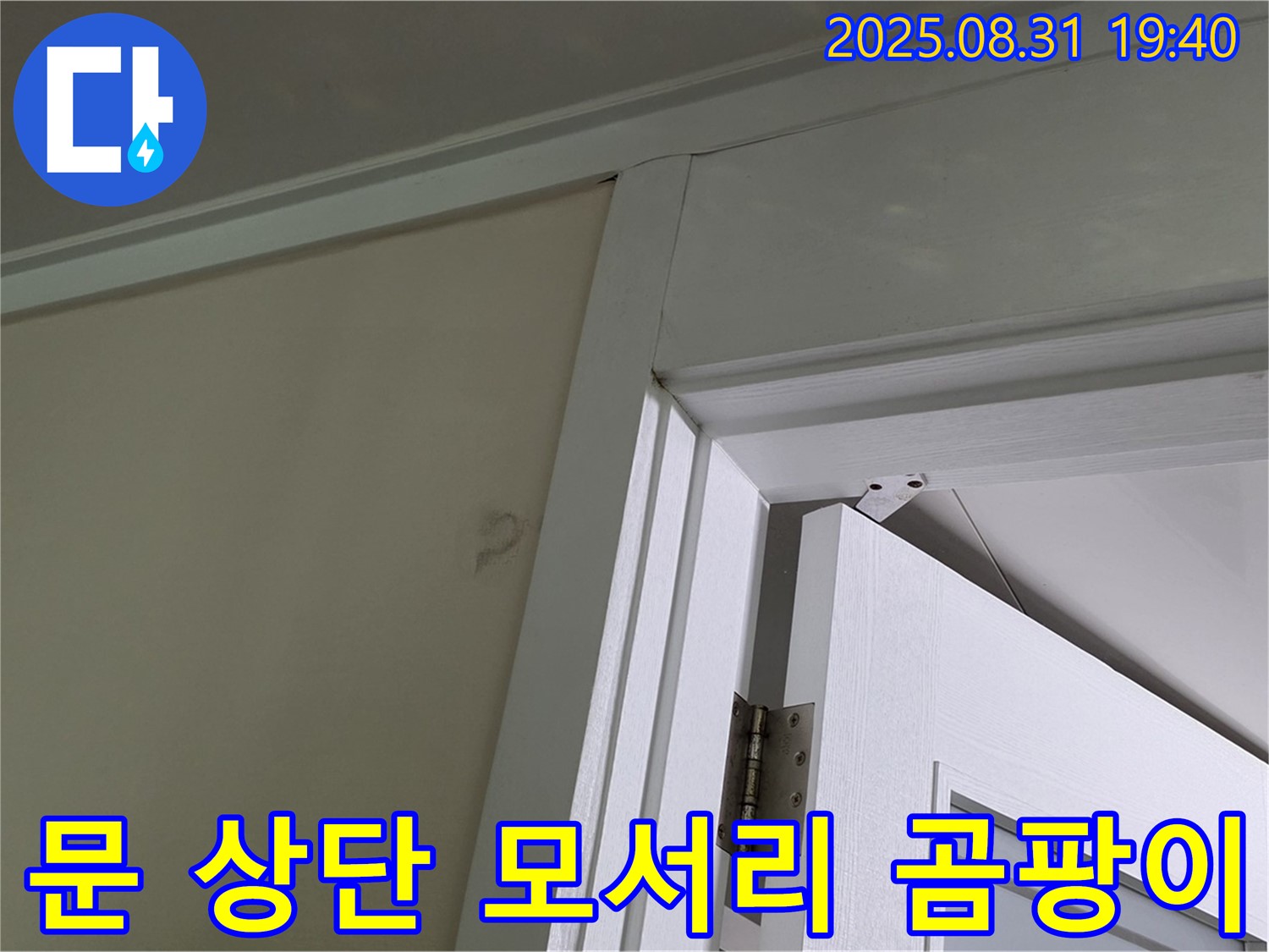 문 상단 모서리 곰팡이 - 문 상단 모서리에 곰팡이가 발생했습니다.