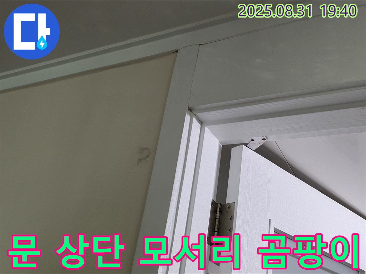 문 상단 모서리 곰팡이 - 문 상단 모서리에 곰팡이가 발생했습니다.