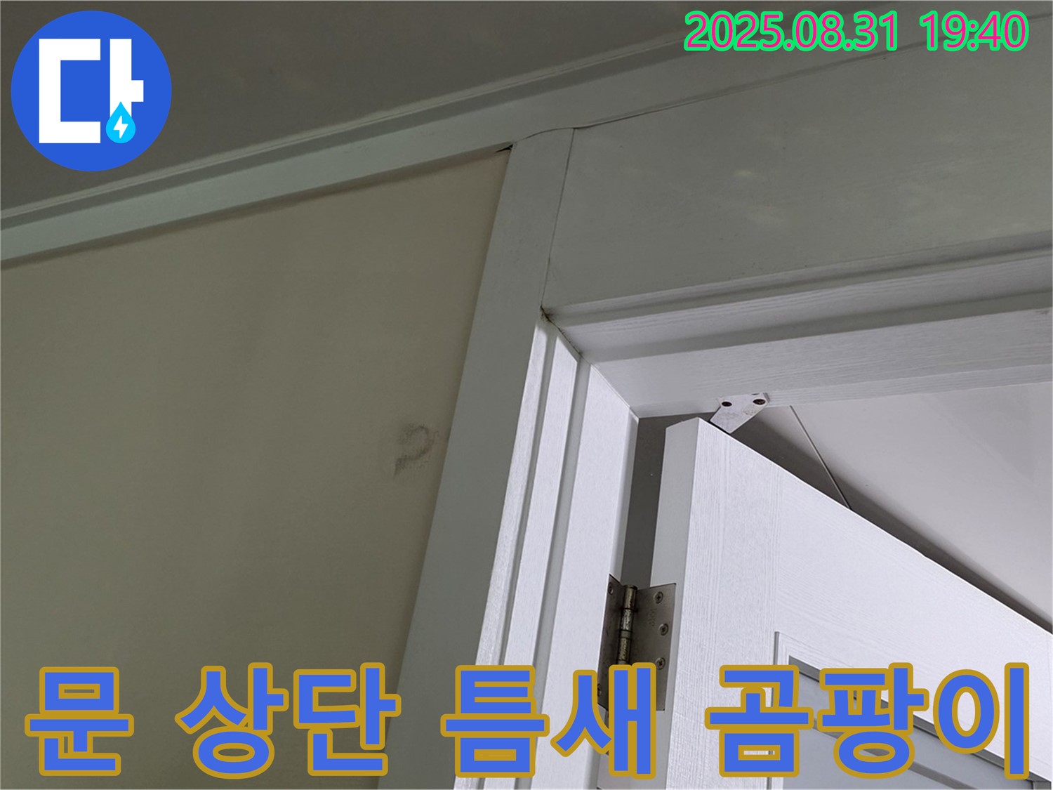 문 상단 틈새 곰팡이 - 문 상단 틈새에 곰팡이가 발생했습니다.