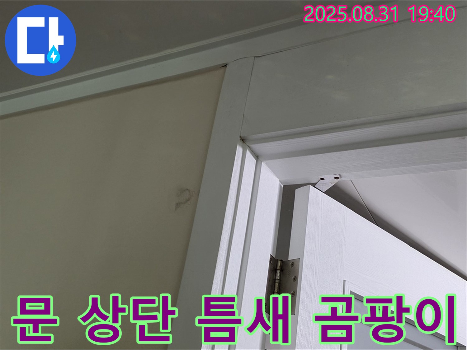 문 상단 틈새 곰팡이 - 문 상단 틈새에 곰팡이가 발생했습니다.