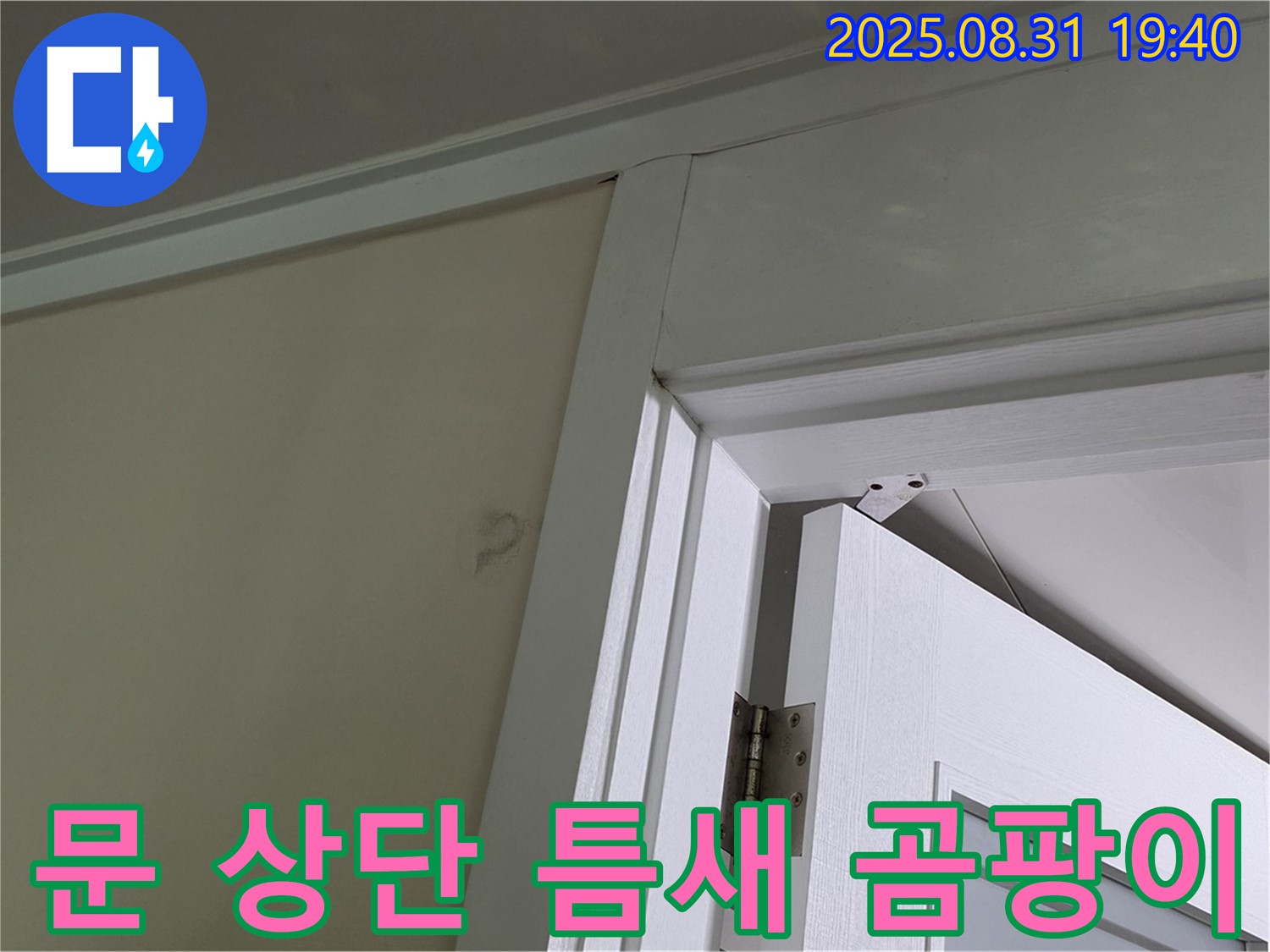 문 상단 틈새 곰팡이 - 문 상단 틈새에 곰팡이가 발생했습니다.