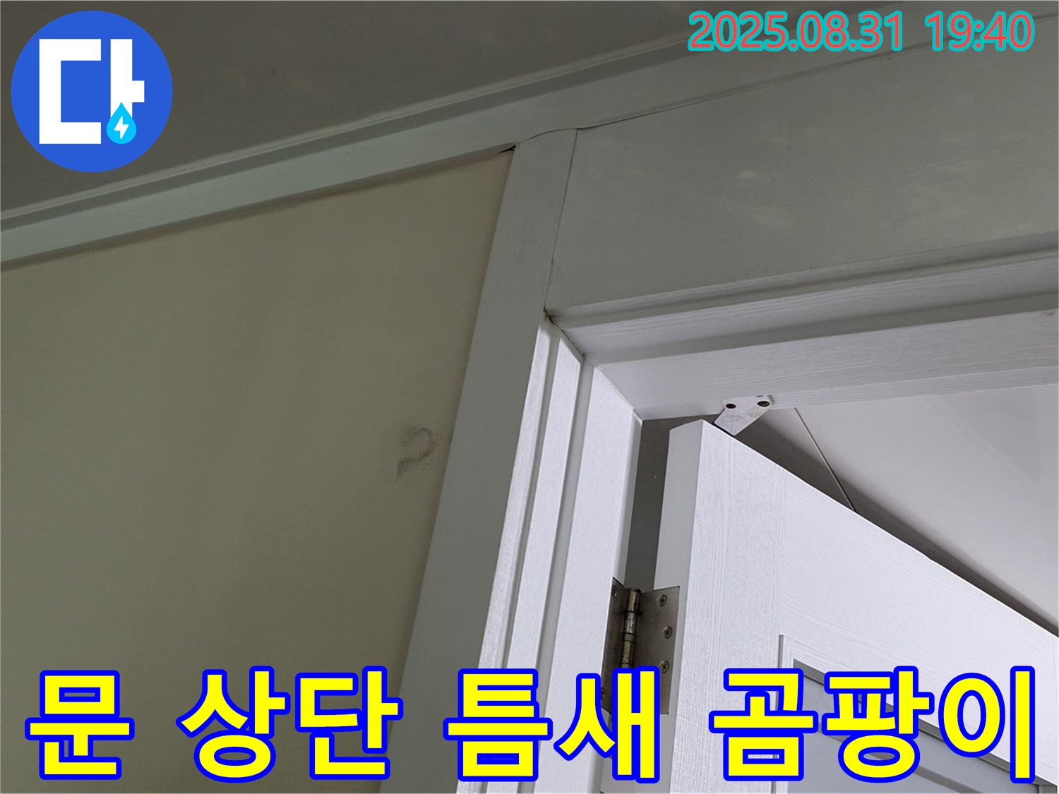 문 상단 틈새 곰팡이 - 천장과 문 상단 틈새 사이에 곰팡이가 피어 있습니다.