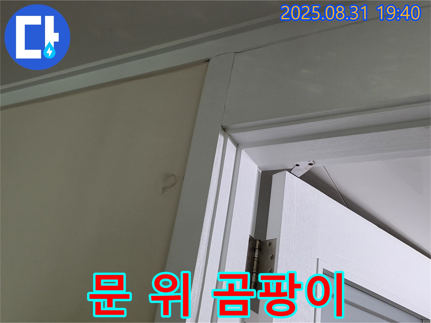 문 위 곰팡이 - 문 위 천장에 곰팡이가 발생했습니다.